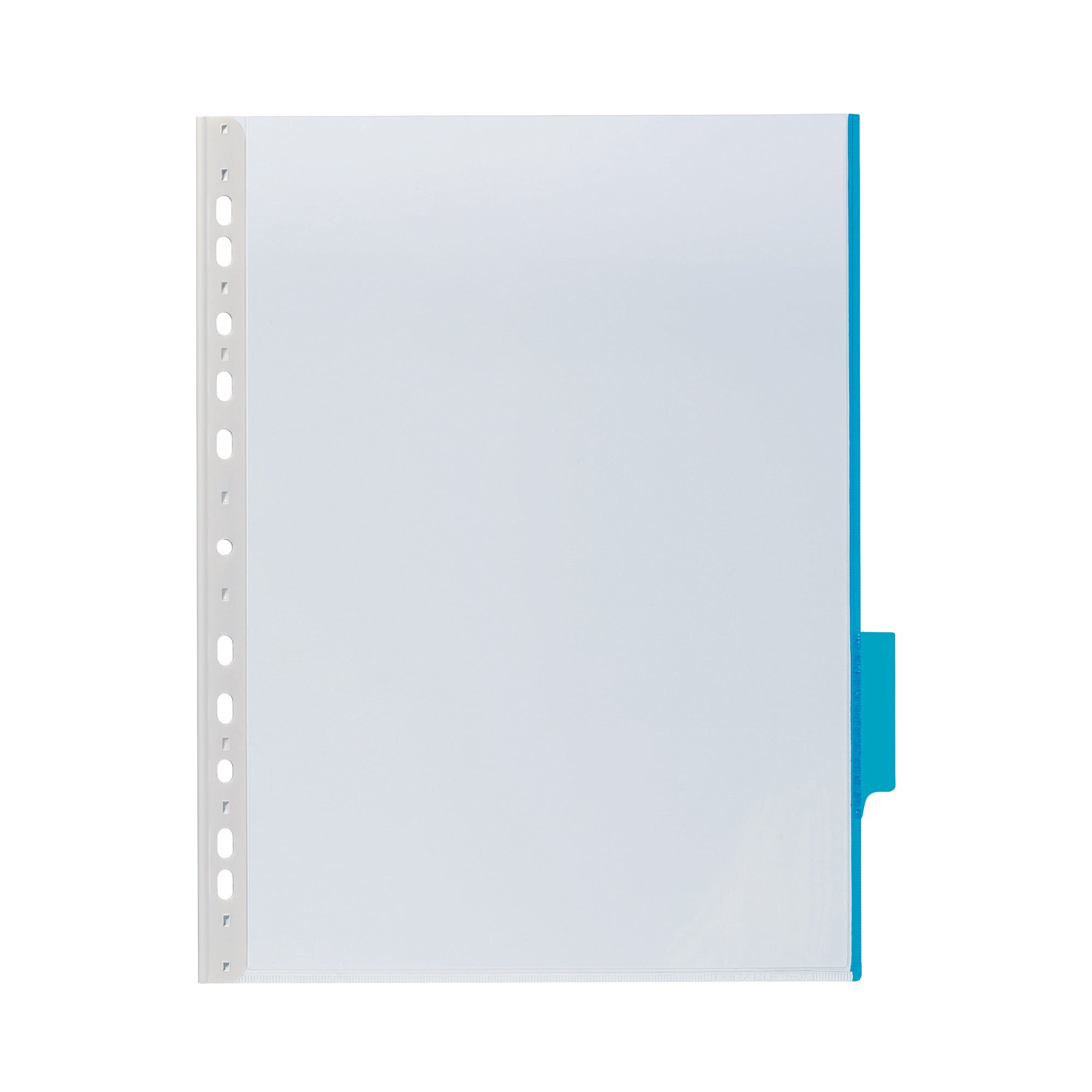 Durable Sichttafel FUNCTION, DIN A4