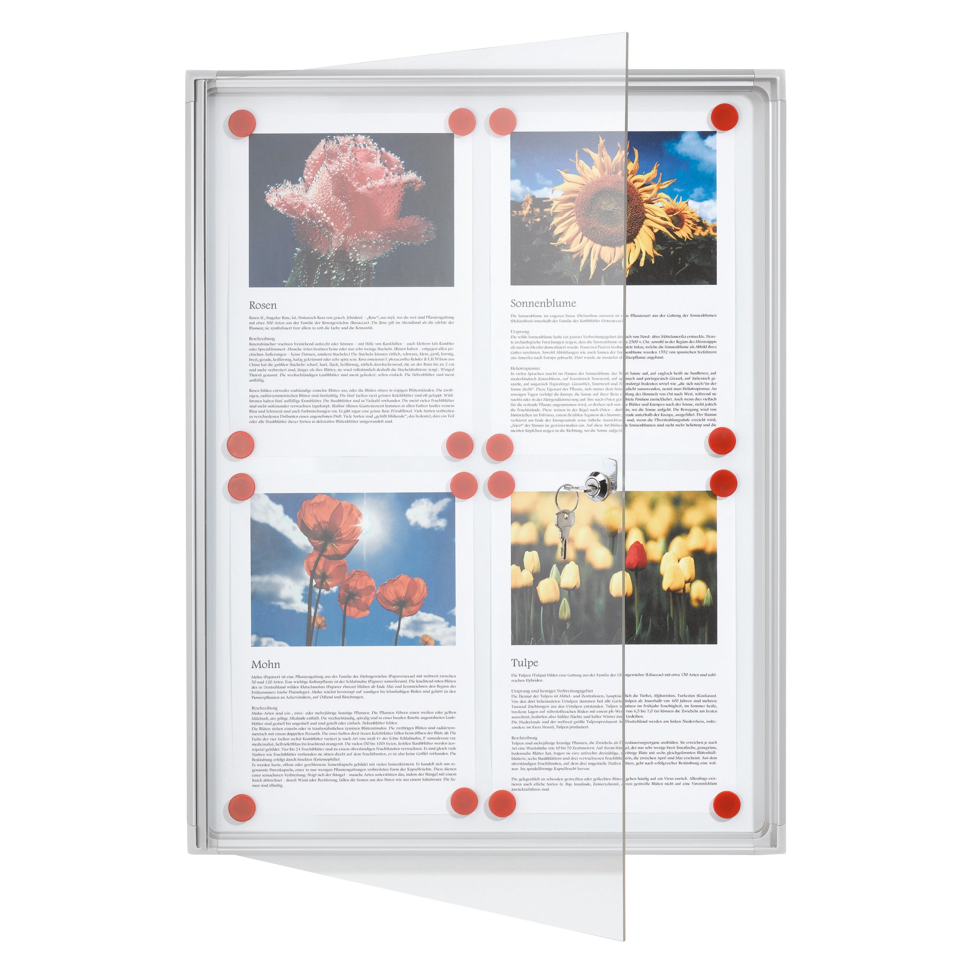 Franken Schaukasten X-tra!Line