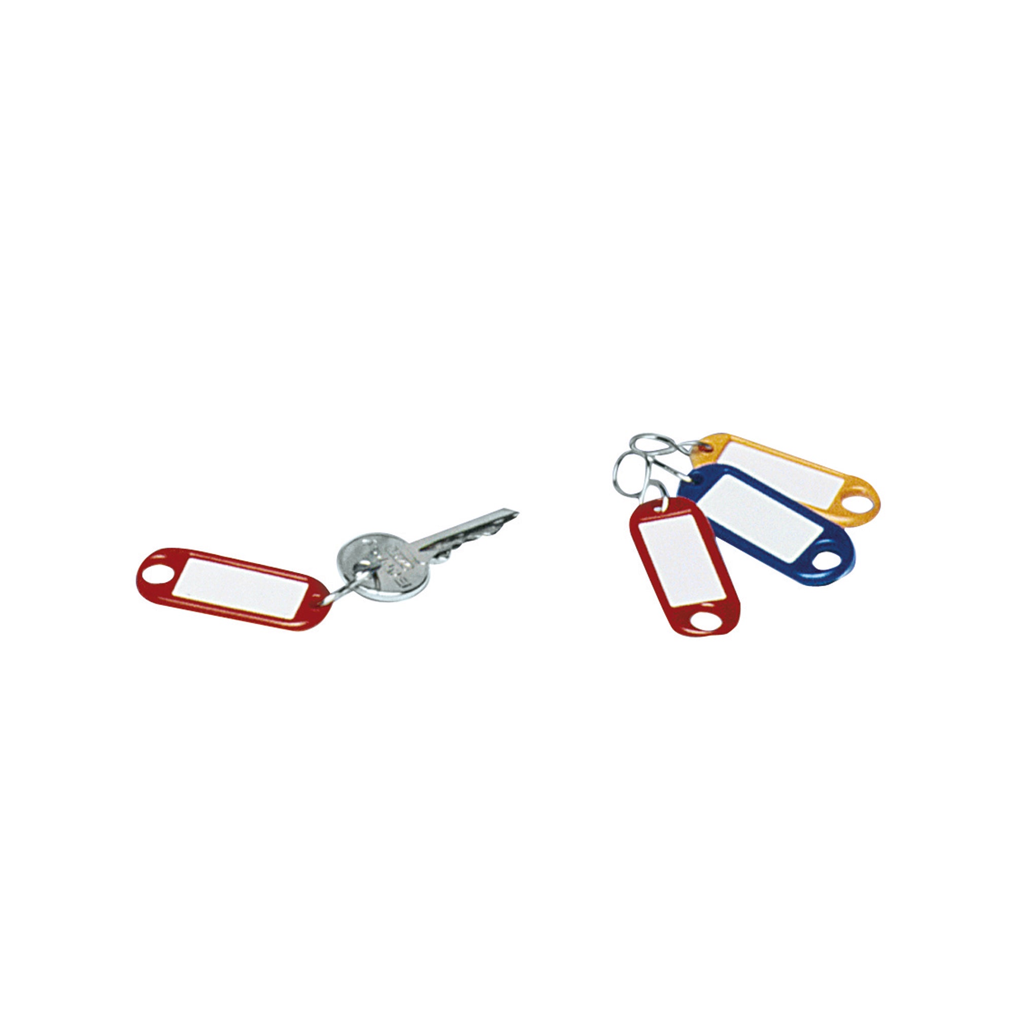 Wedo Schlüsselanhänger grün 100 St./Pack.