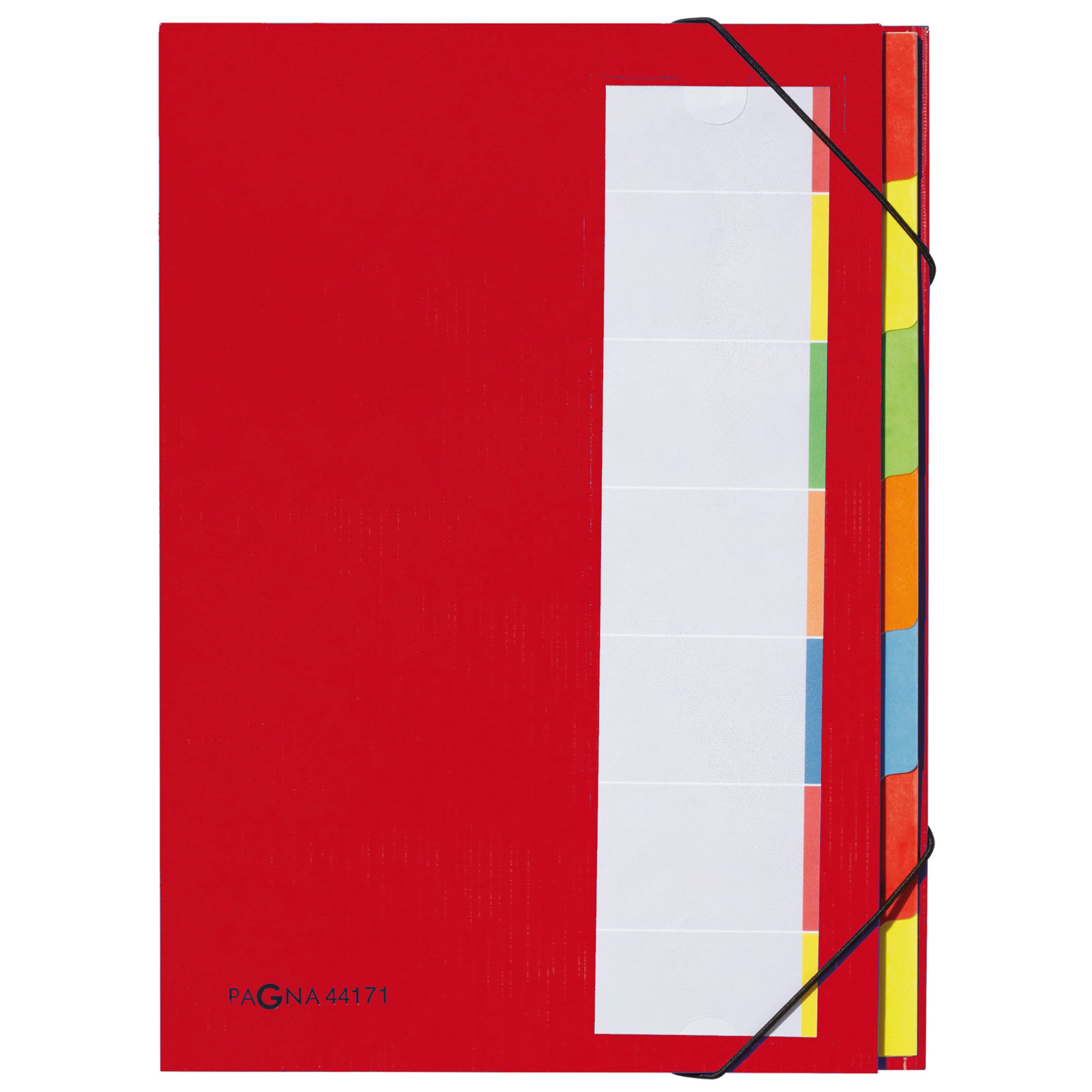 Pagna Ordnungsmappe Deskorganizer Premium, DIN A4
