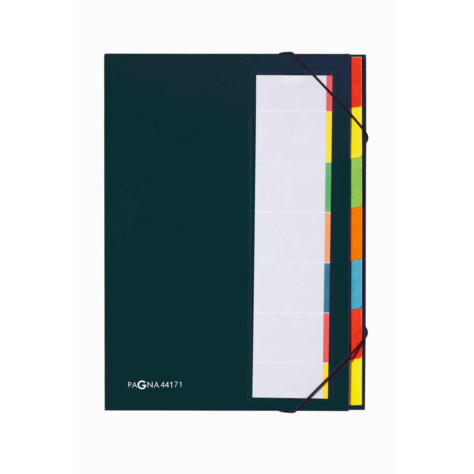 Pagna Ordnungsmappe Deskorganizer Premium, DIN A4