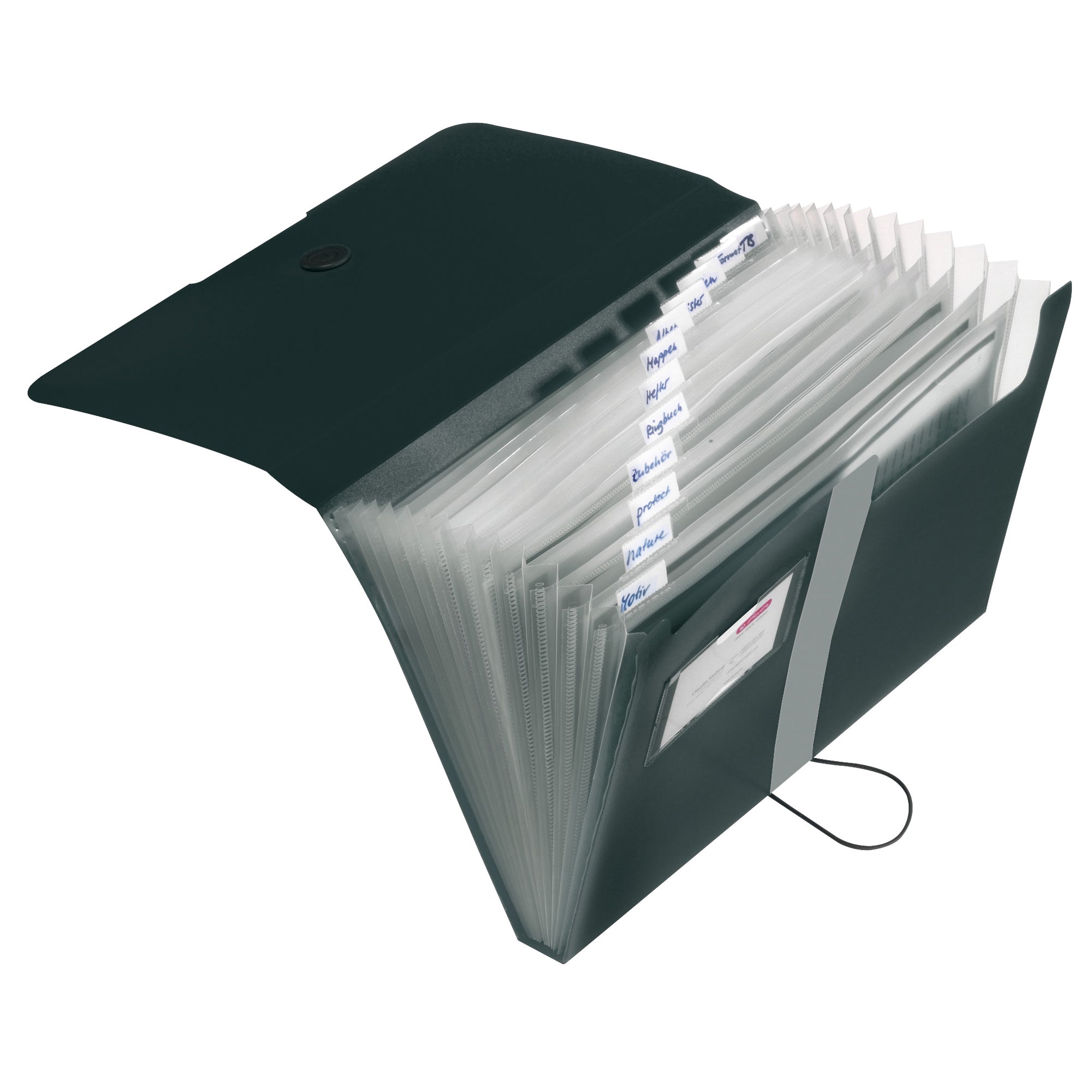 Herlitz Fächermappe easy orga to go, DIN A4