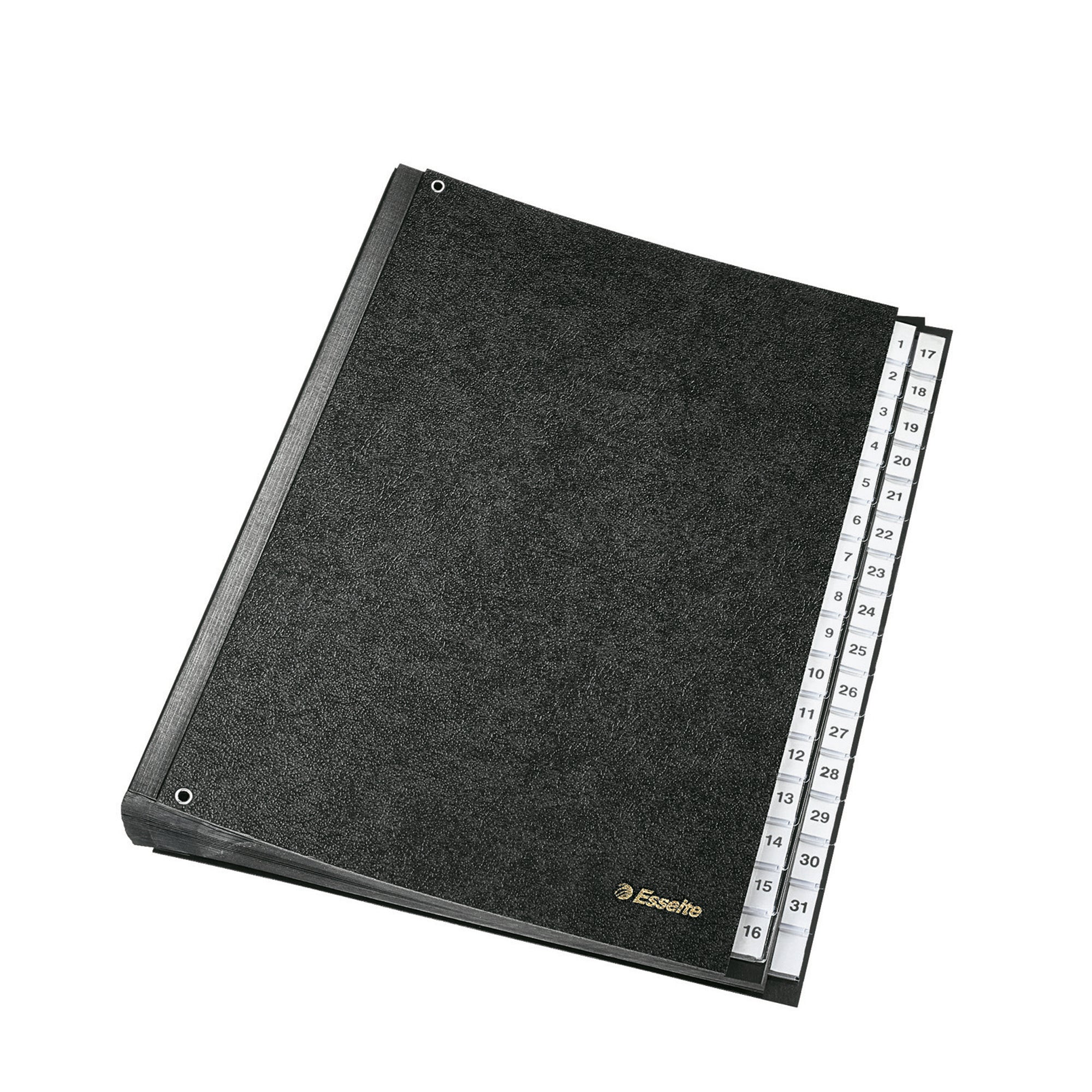 Esselte Pultordner, DIN A4
