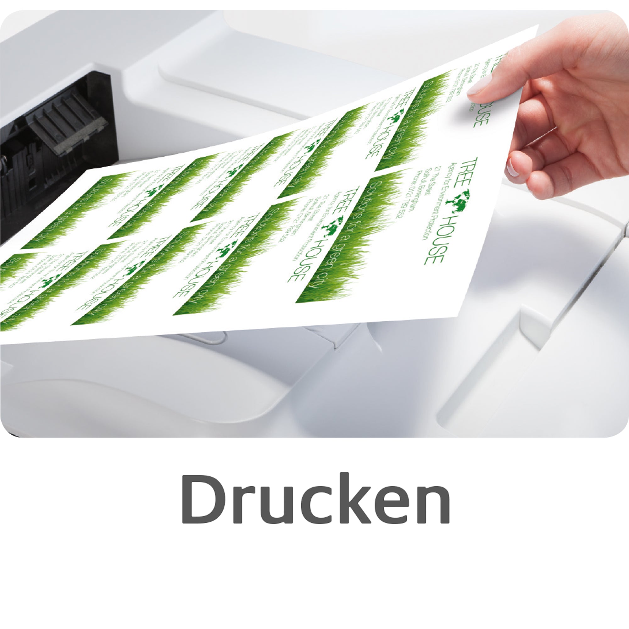 Avery Visitenkarte Premium, DIN A4