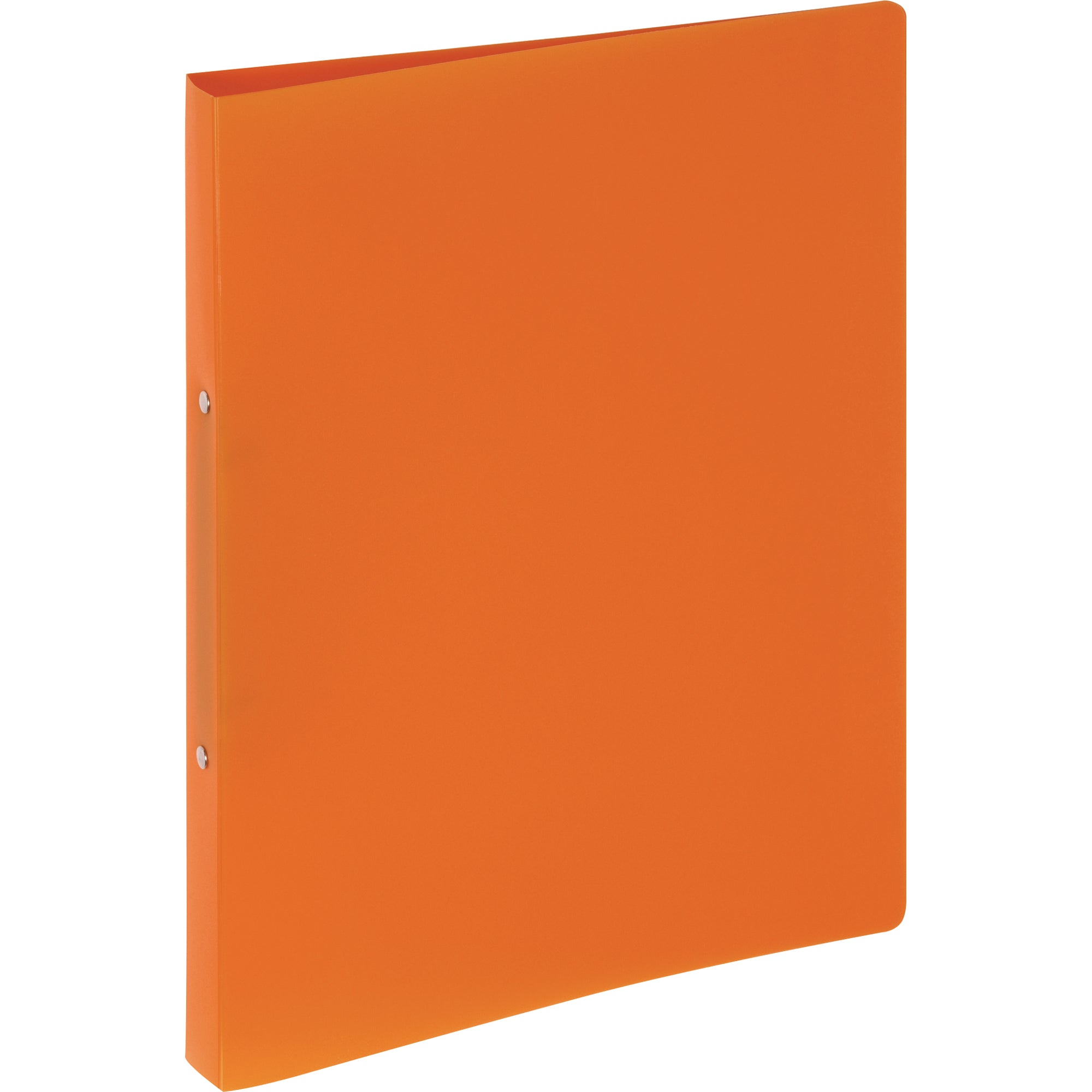 Pagna Ringbuch, DIN A4
