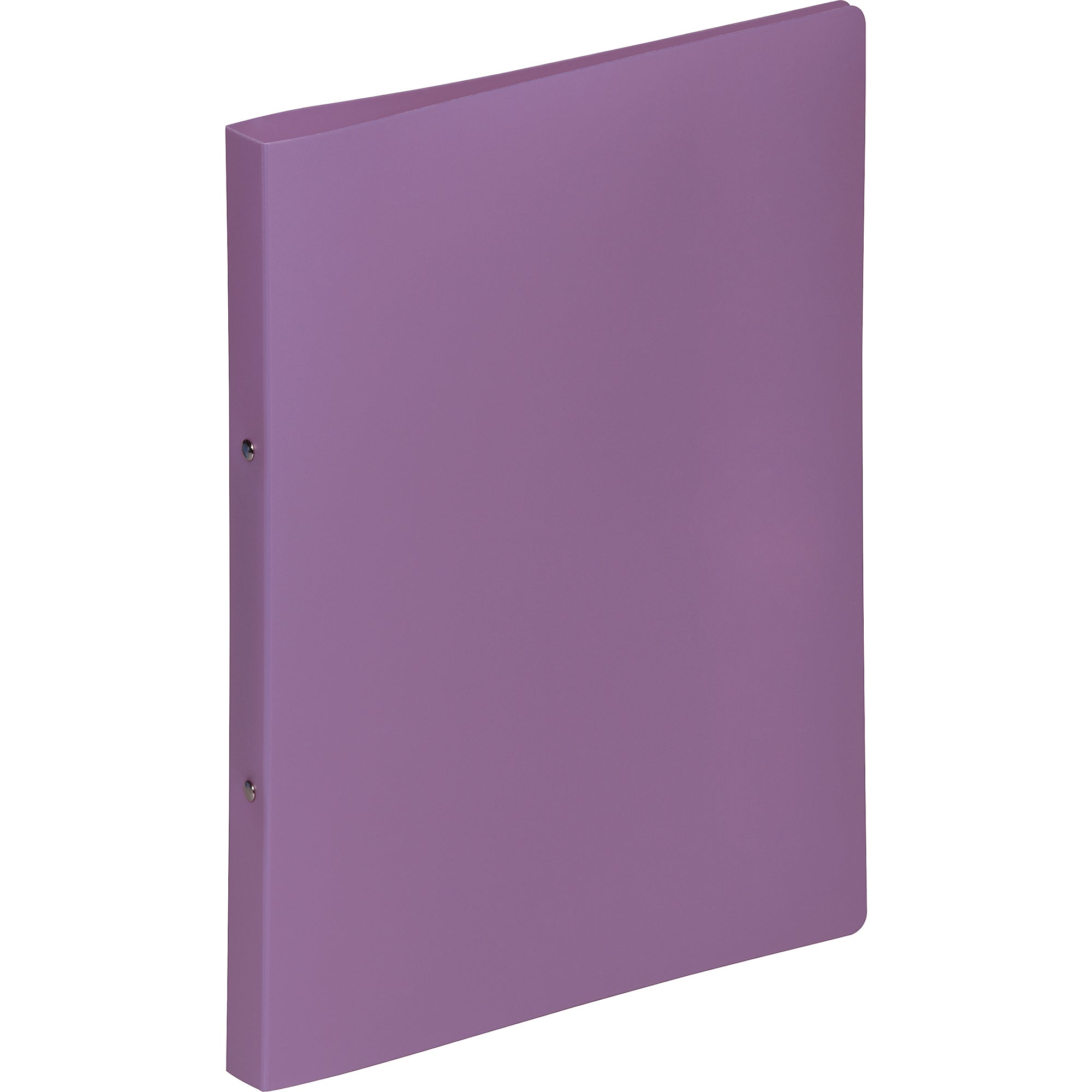 Pagna Ringbuch, DIN A4