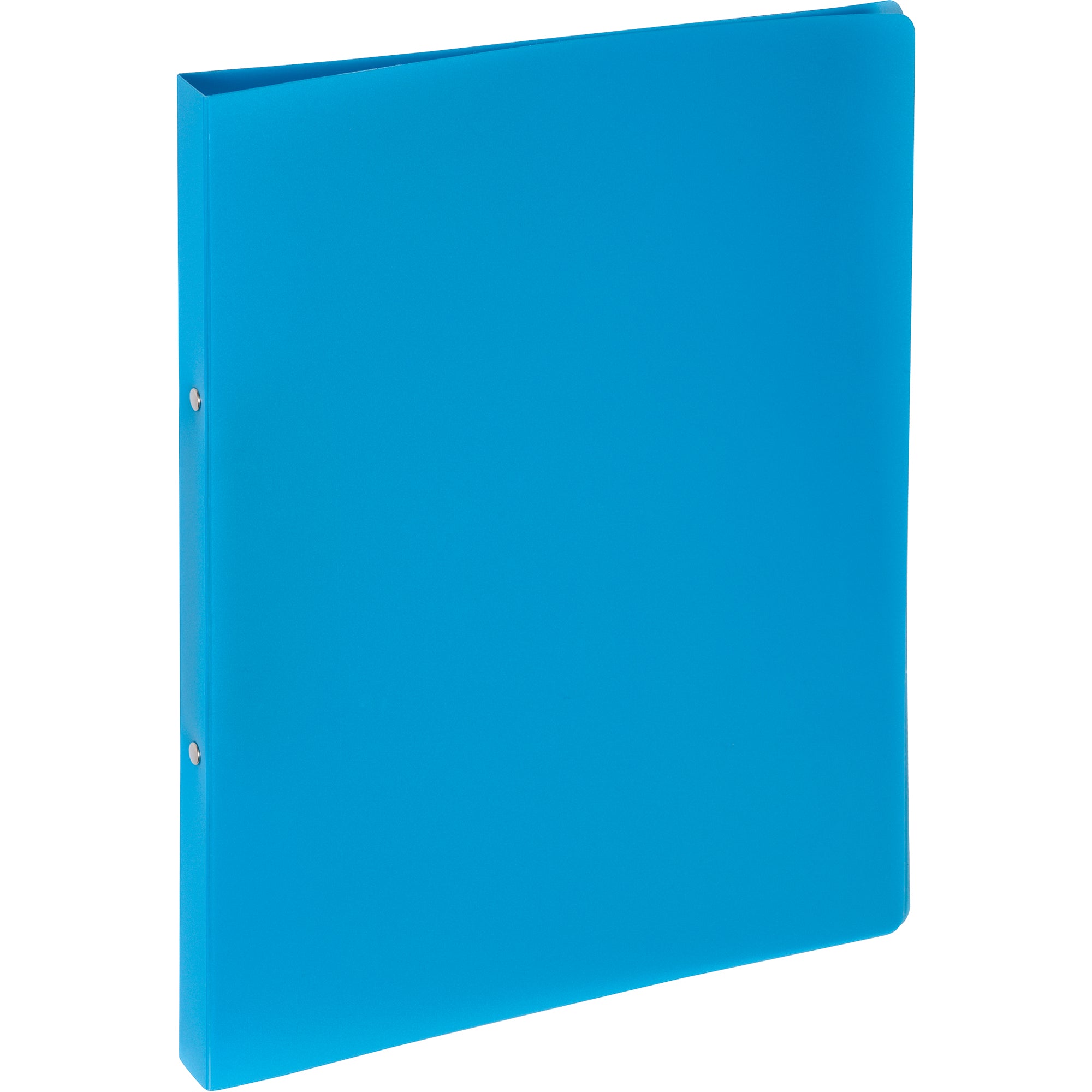 Pagna Ringbuch, DIN A4