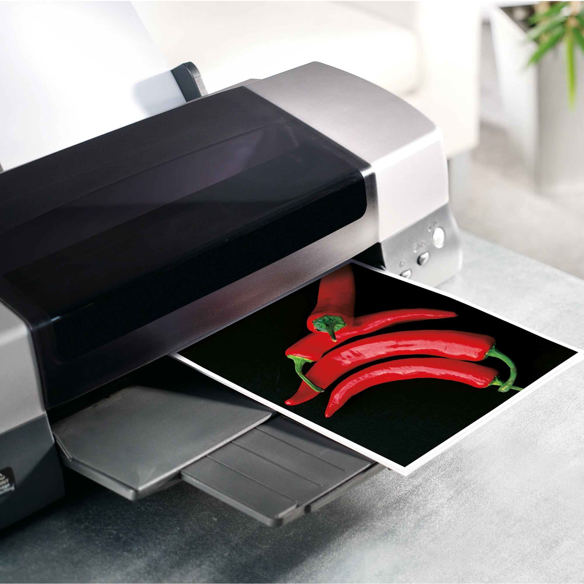 Sigel Fotopapier Top