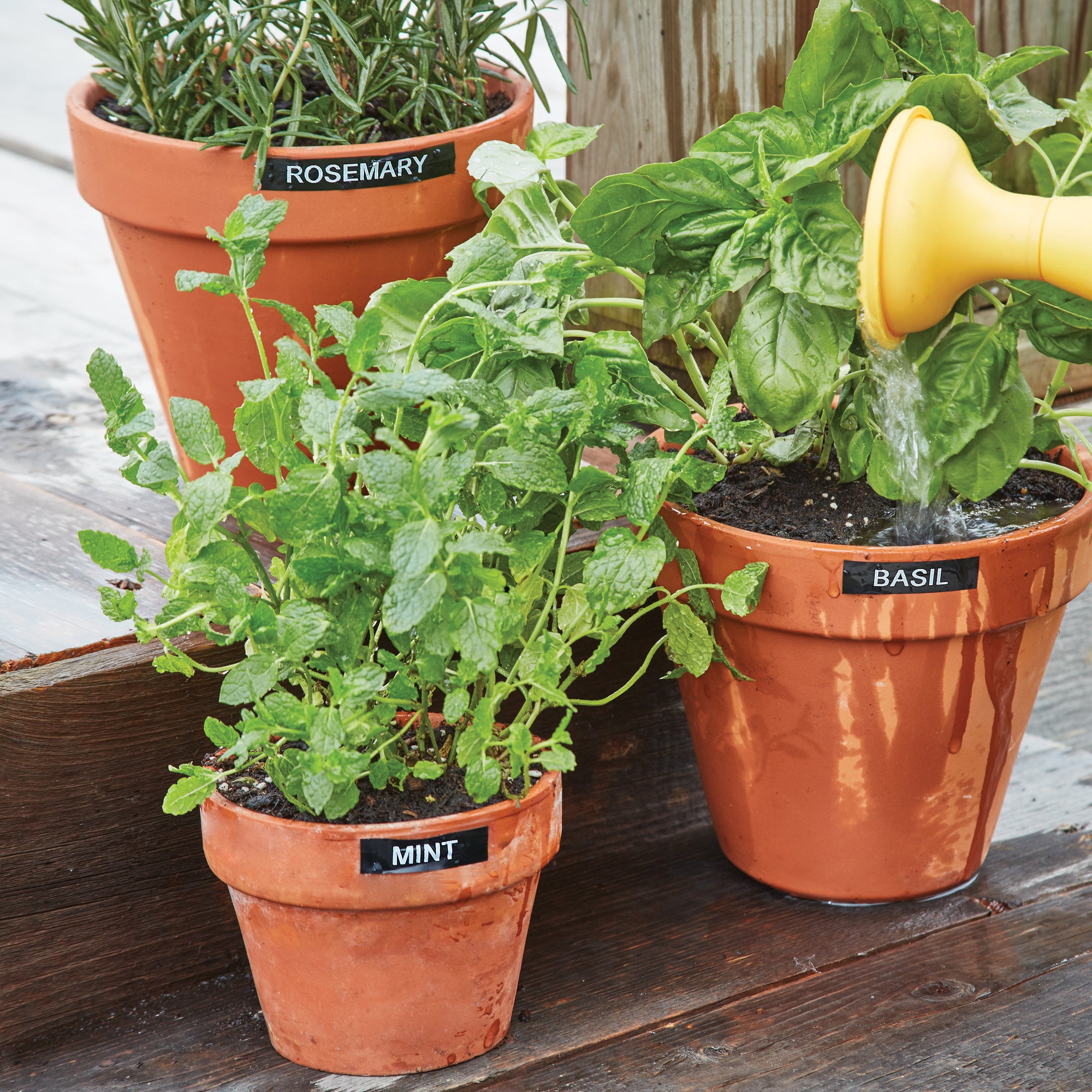 Dymo Schriftbandkassette, 12 mm x 3,5 m (B x L)