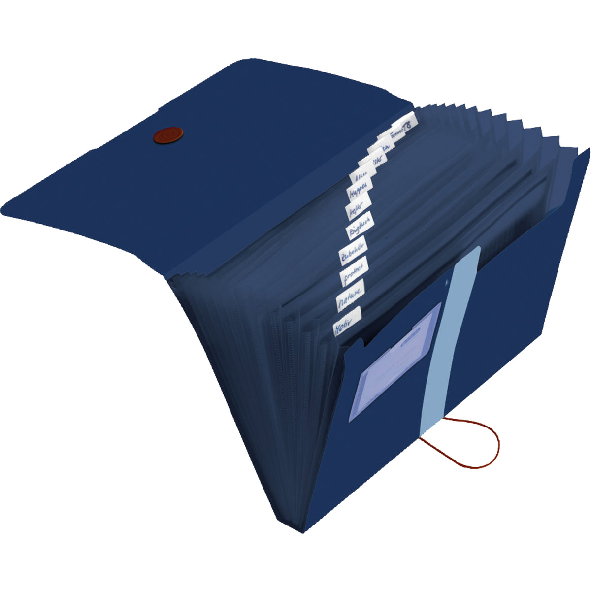Herlitz Fächermappe easy orga to go green, DIN A4