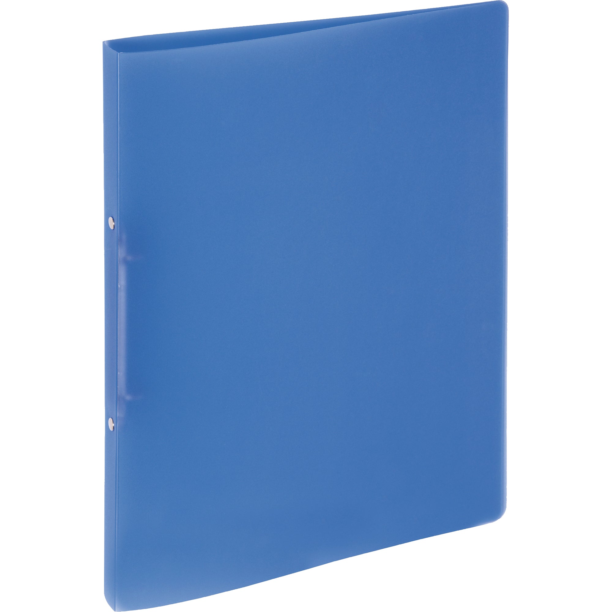 Pagna Ringbuch, DIN A4
