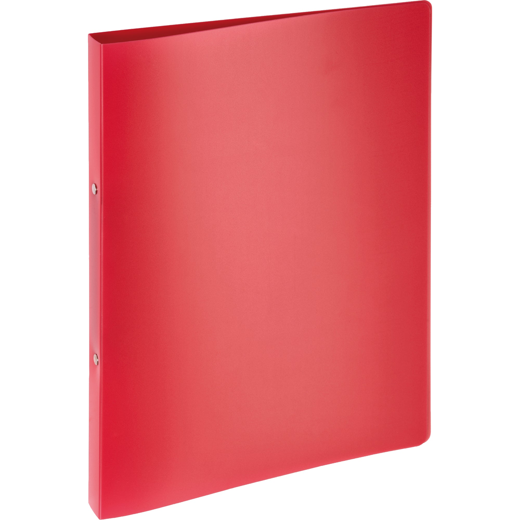 Pagna Ringbuch, DIN A4