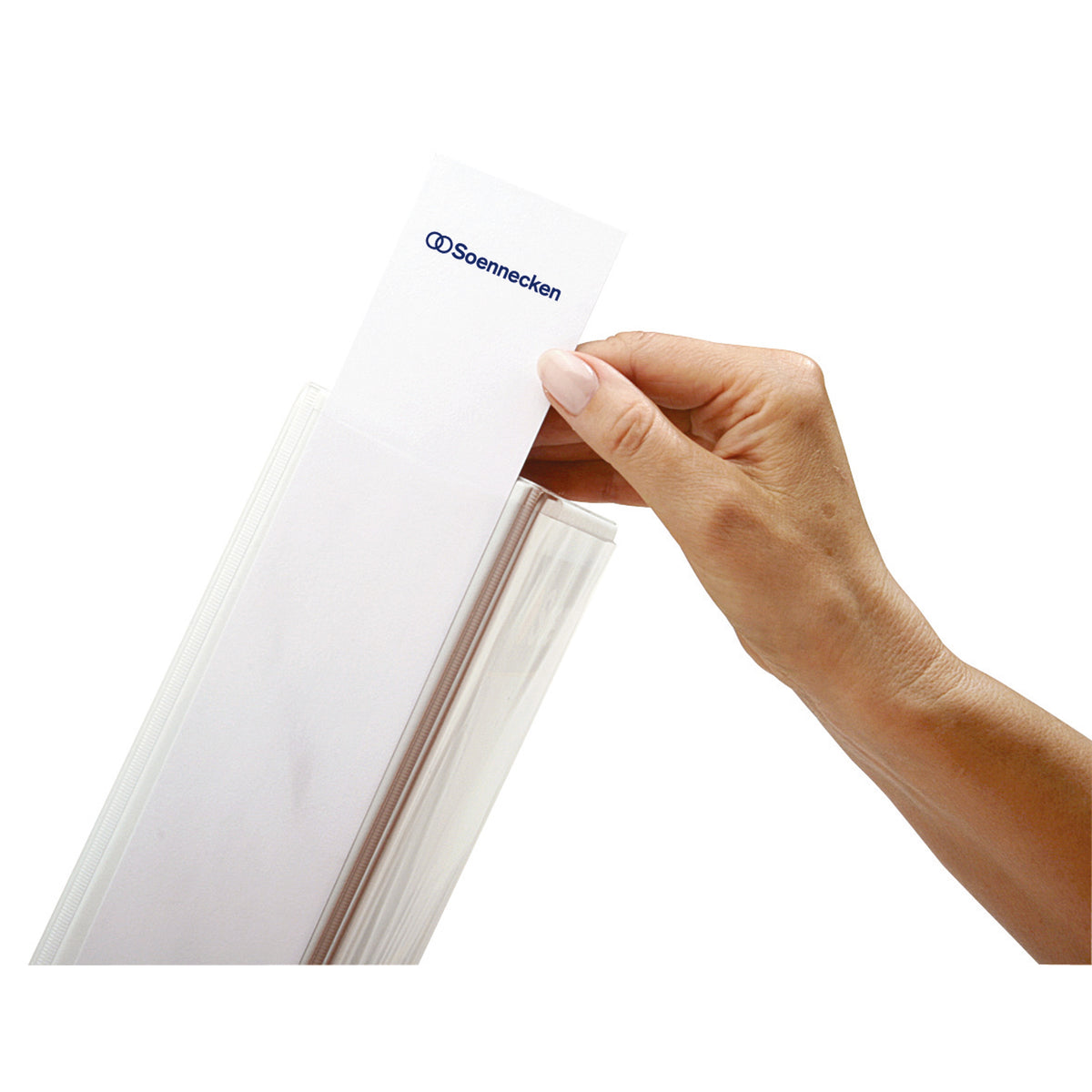 Soennecken Präsentationsringbuch, DIN A4, Überbreite