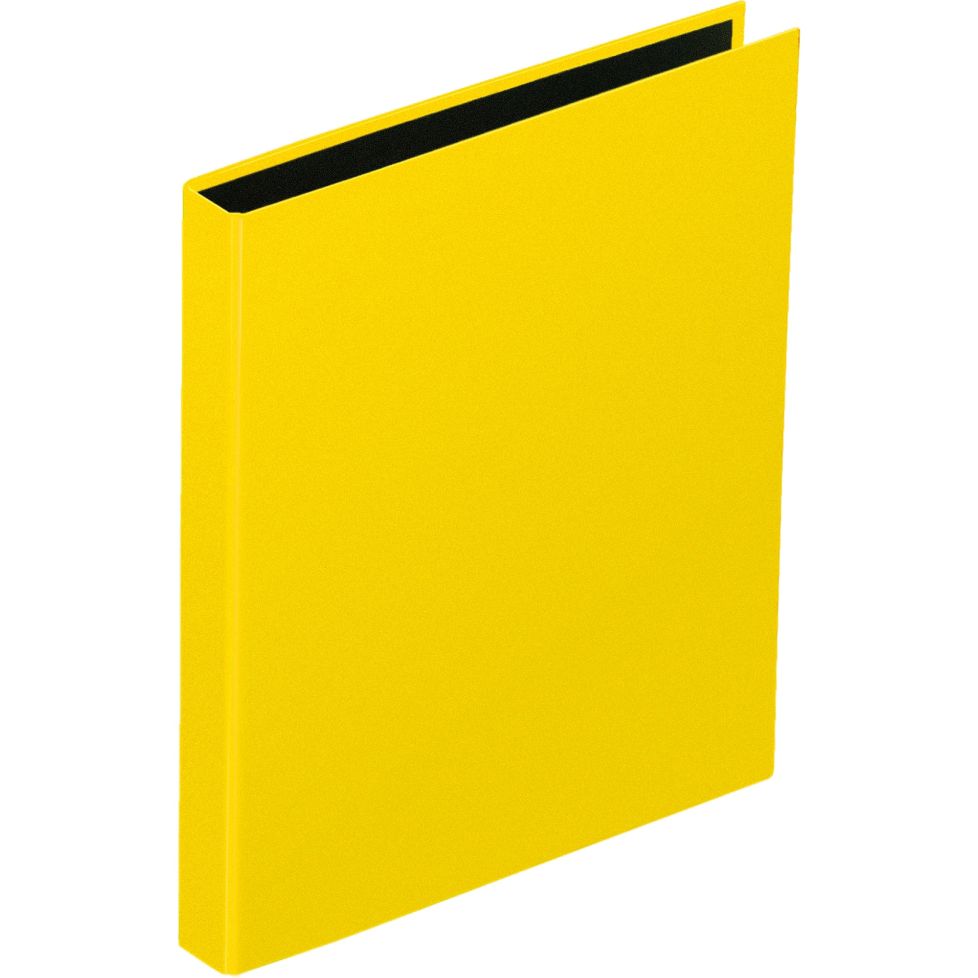Pagna Ringbuch Basic Colours, DIN A4