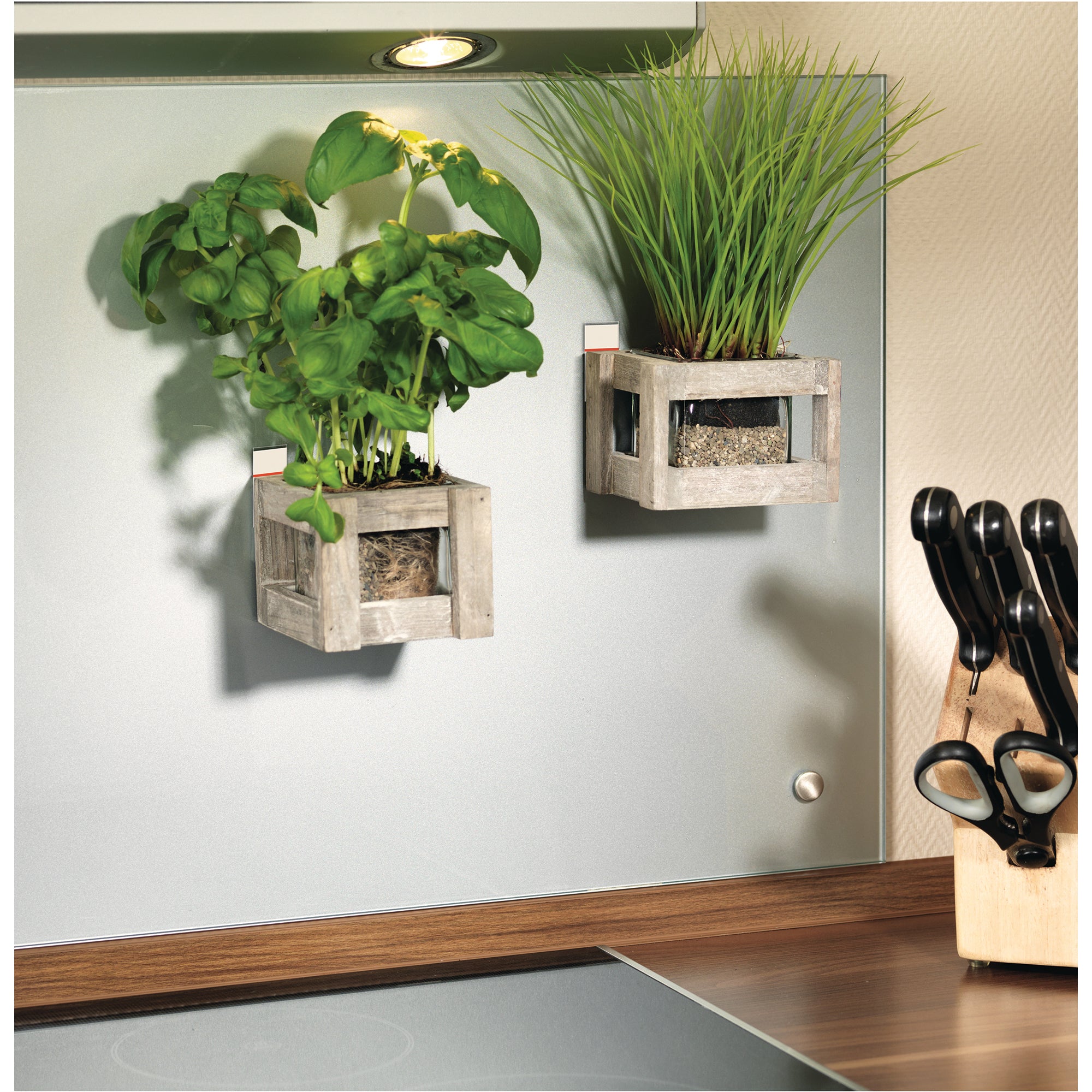 tesa Klebepad Powerstrips® Large