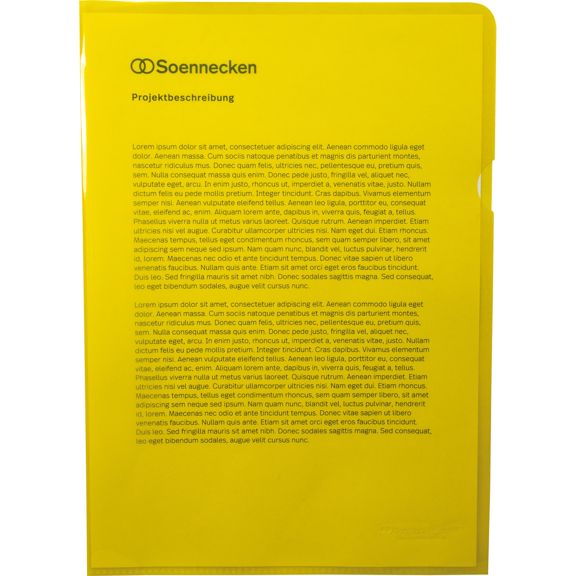Soennecken Sichthülle, DIN A4