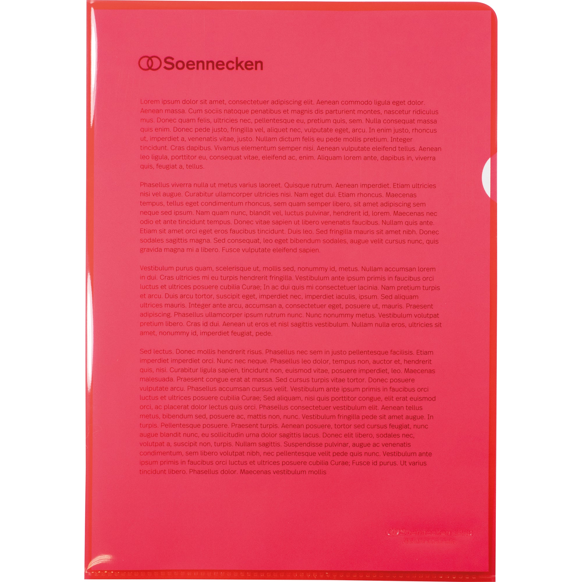 Soennecken Sichthülle, DIN A4