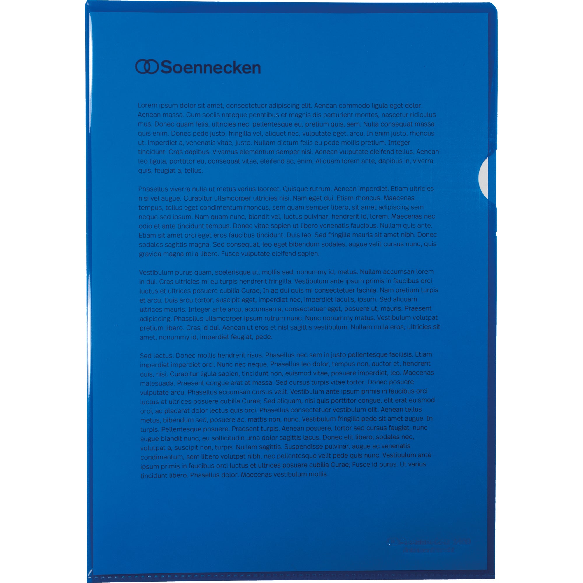 Soennecken Sichthülle, DIN A4