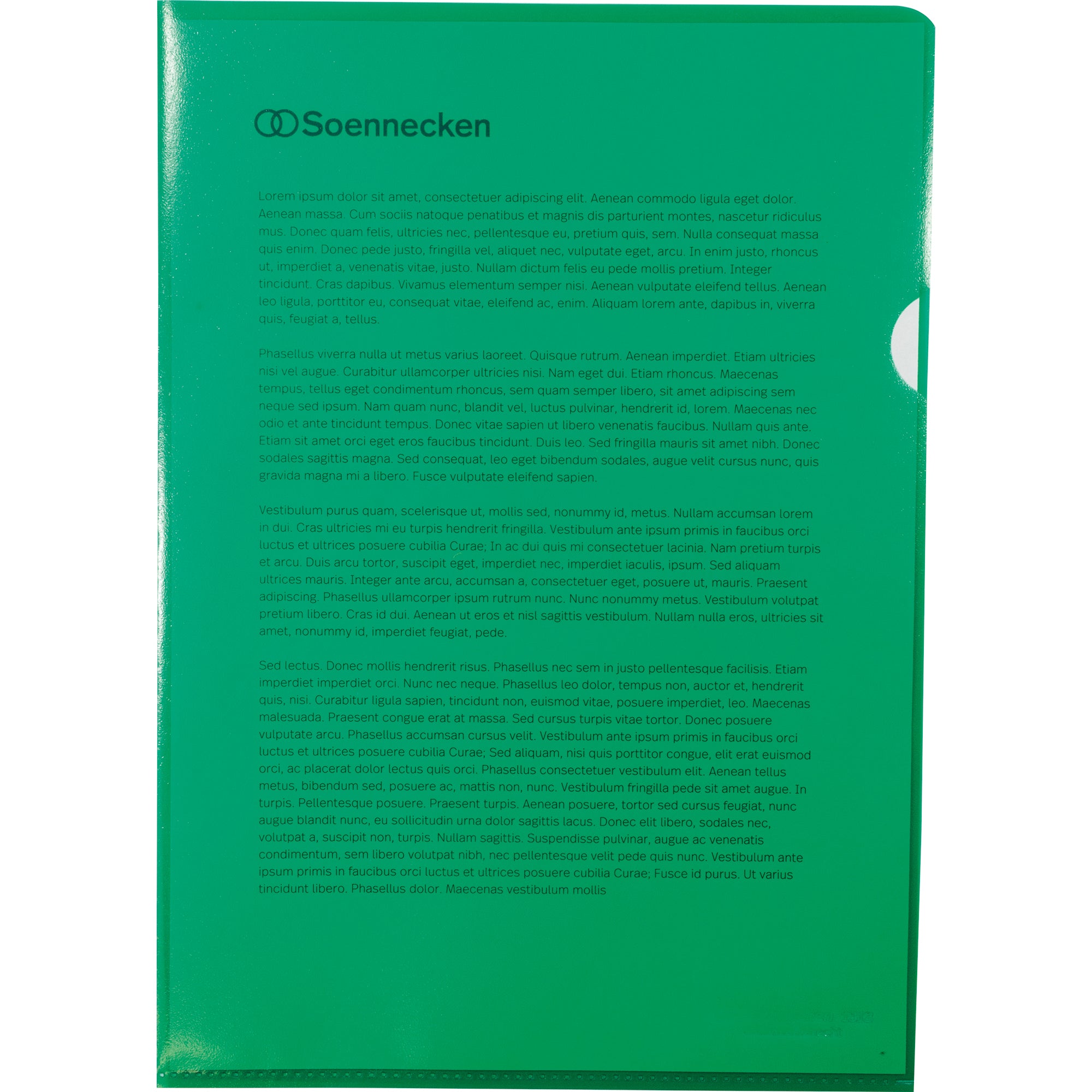 Soennecken Sichthülle, DIN A4