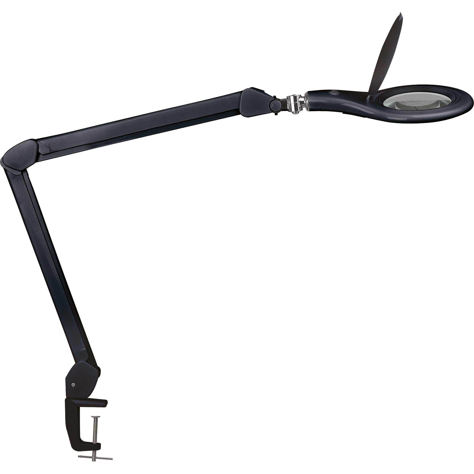 Maul Leuchtlupe MAULmakro