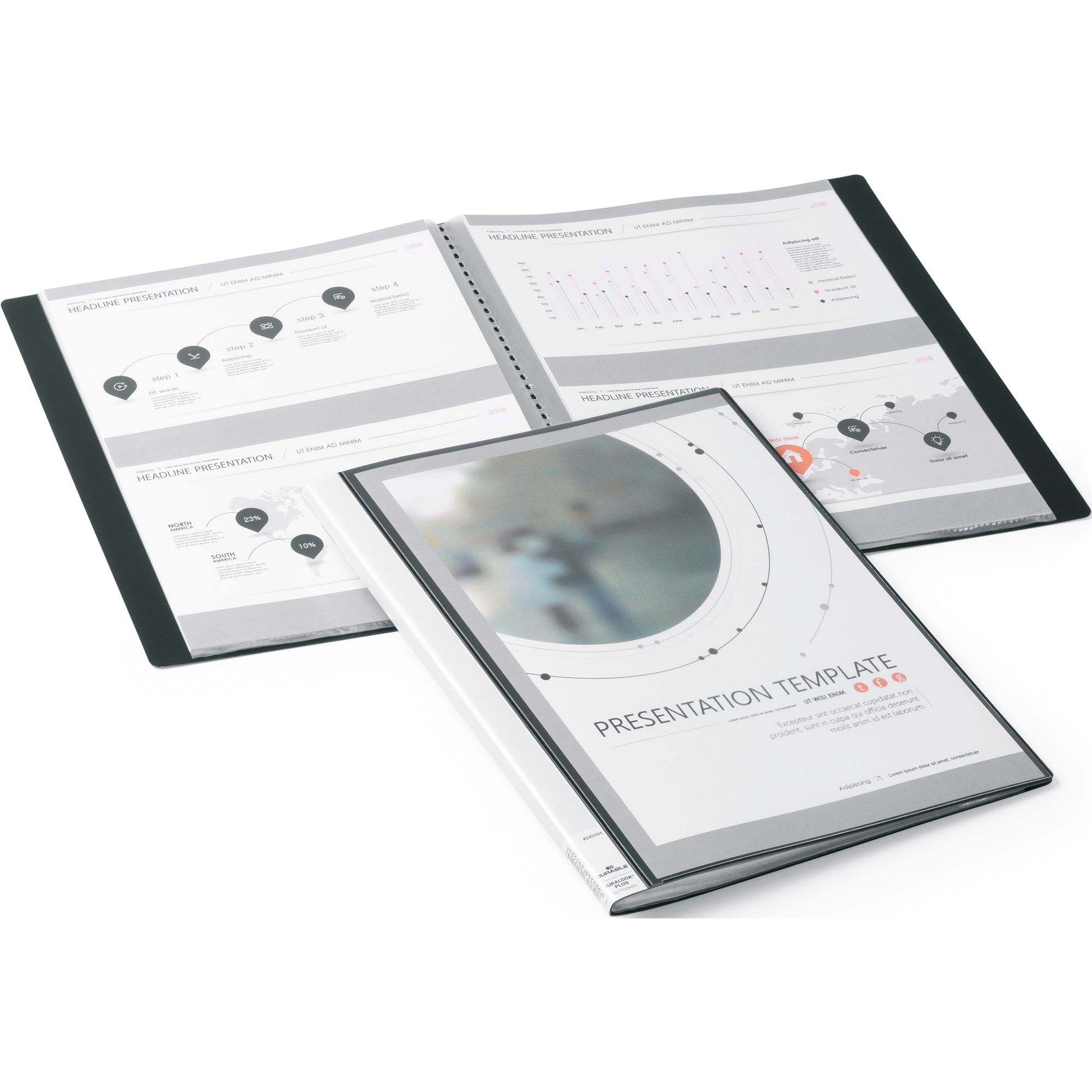 Durable Sichtbuch DURALOOK® PLUS, DIN A4
