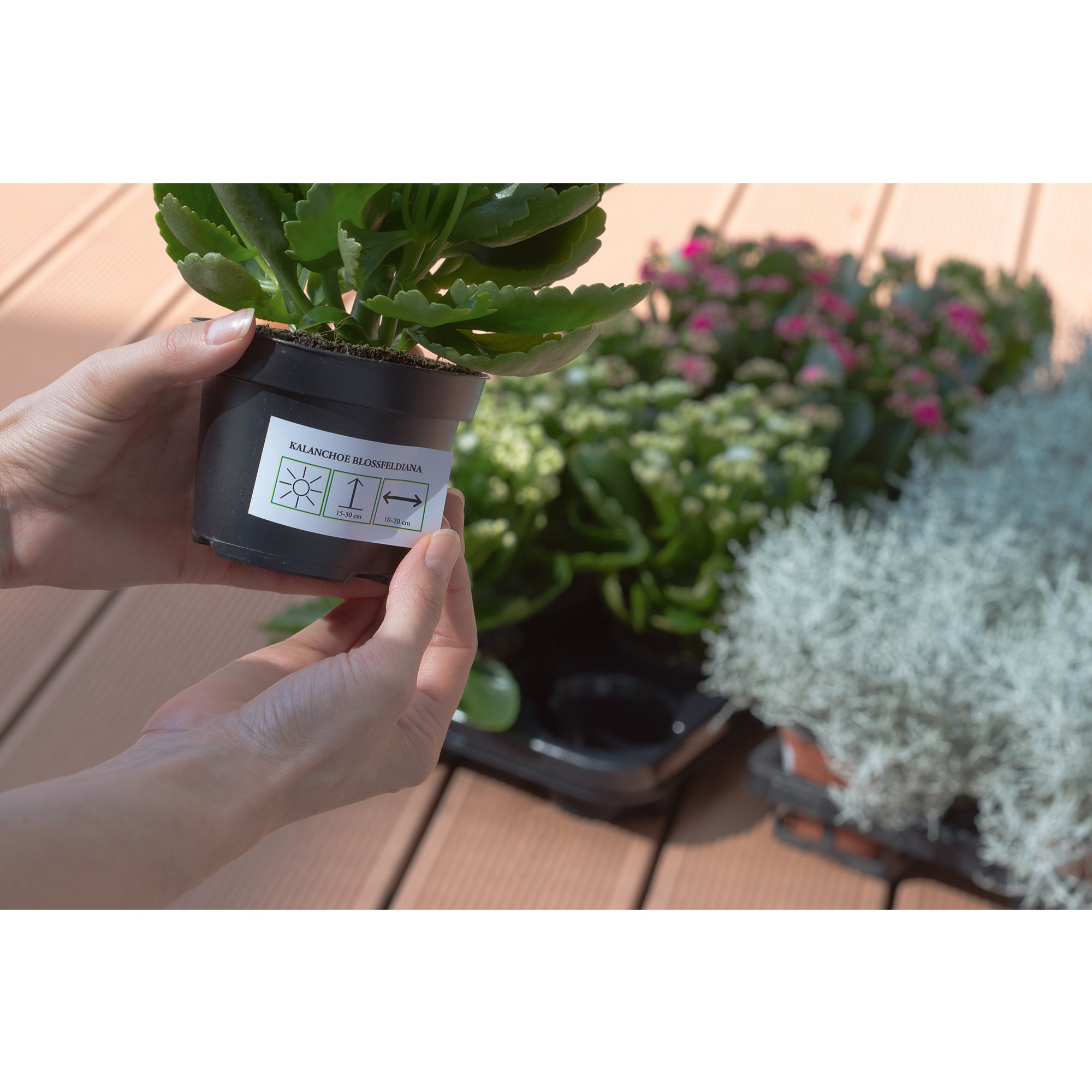 Herma Folienetikett SPECIAL, weiß