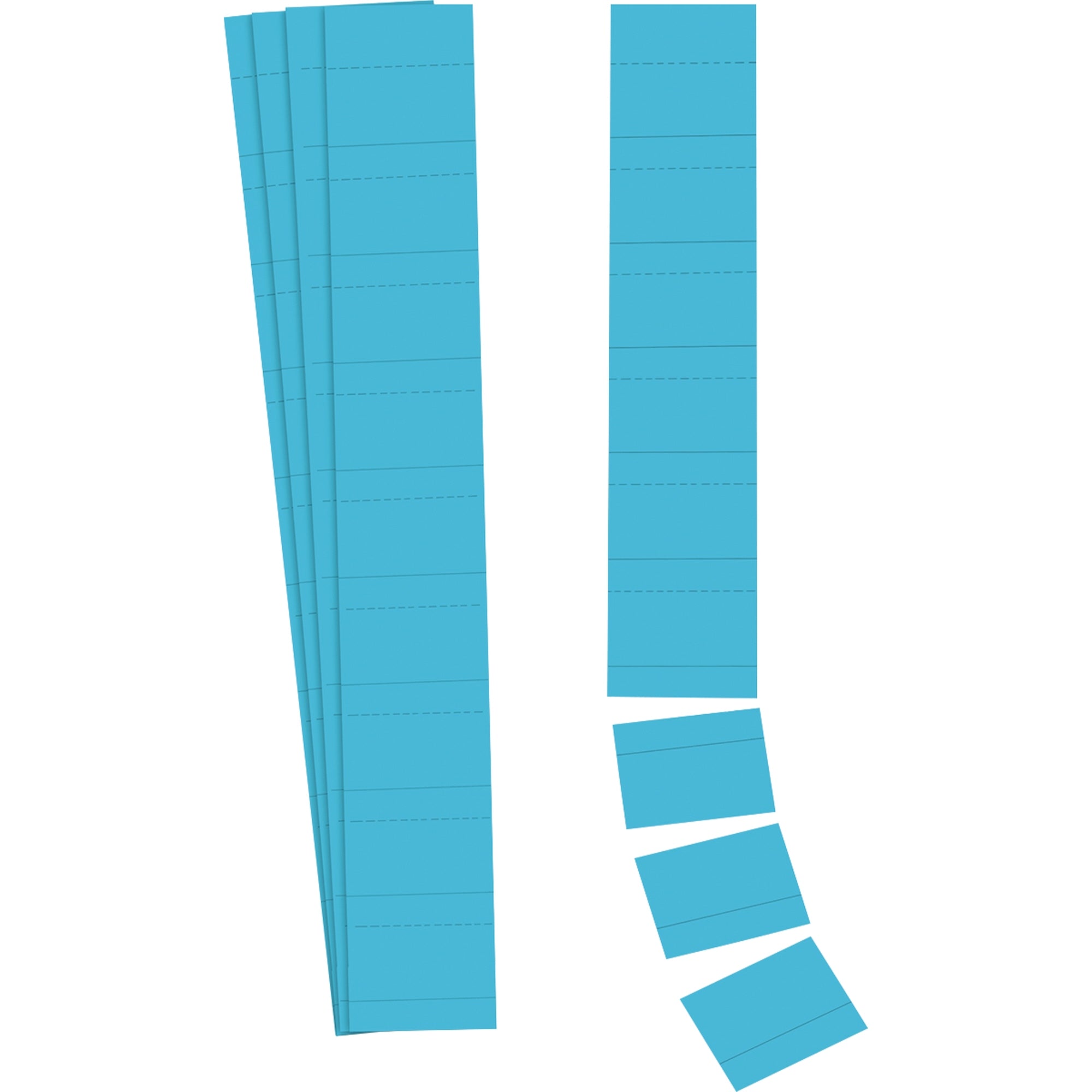 Ultradex Einsteckkarte Planrecord
