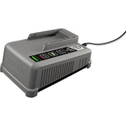 Kärcher Akkuladegerät Battery Power+ 36/60