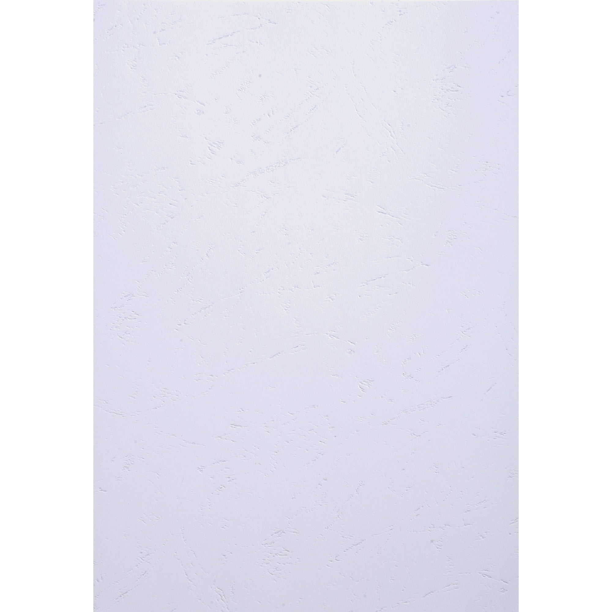 Exacompta Einbanddeckel EVERCOVER, DIN A4