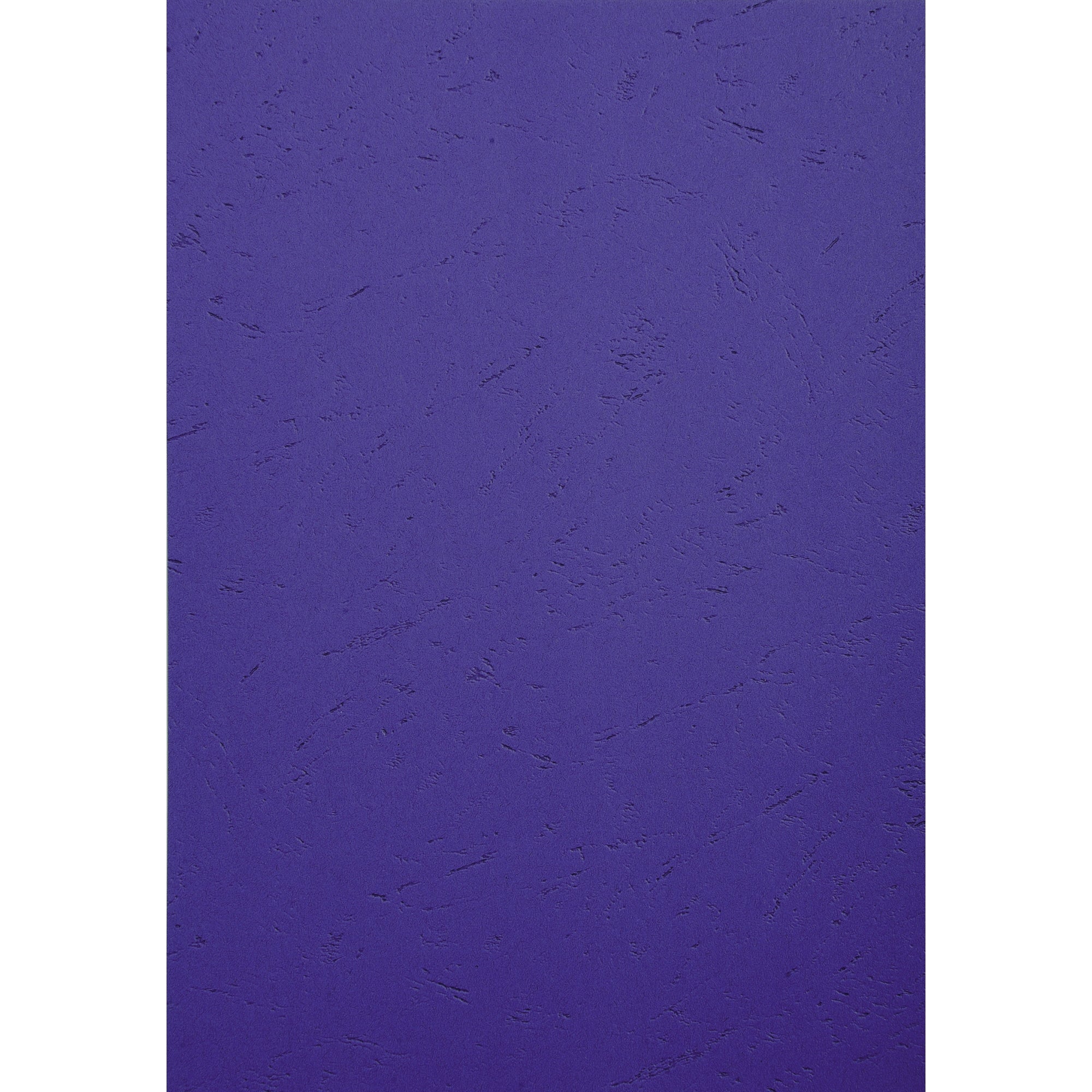 Exacompta Einbanddeckel EVERCOVER, DIN A4