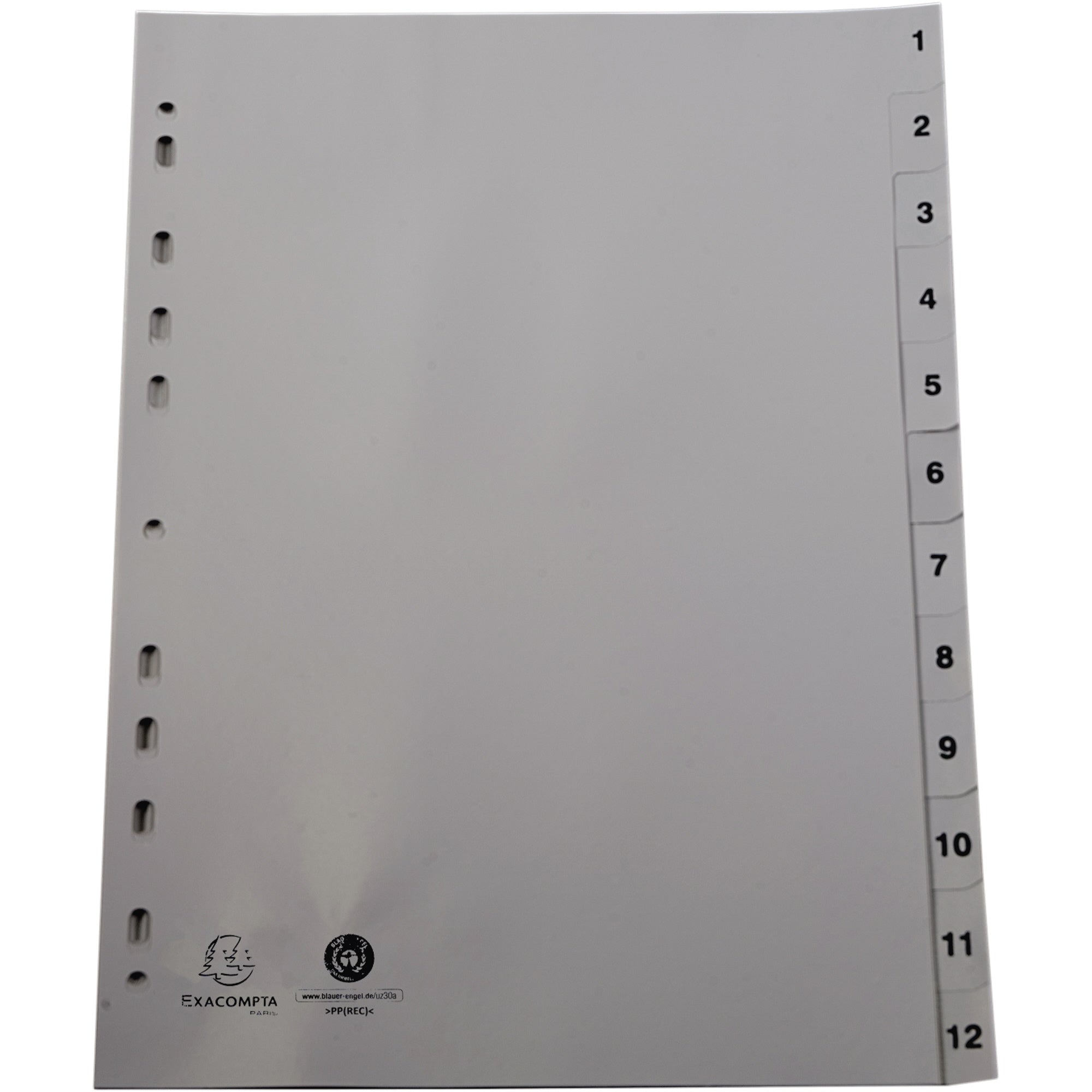 Exacompta Monatsregister Forever®, DIN A4