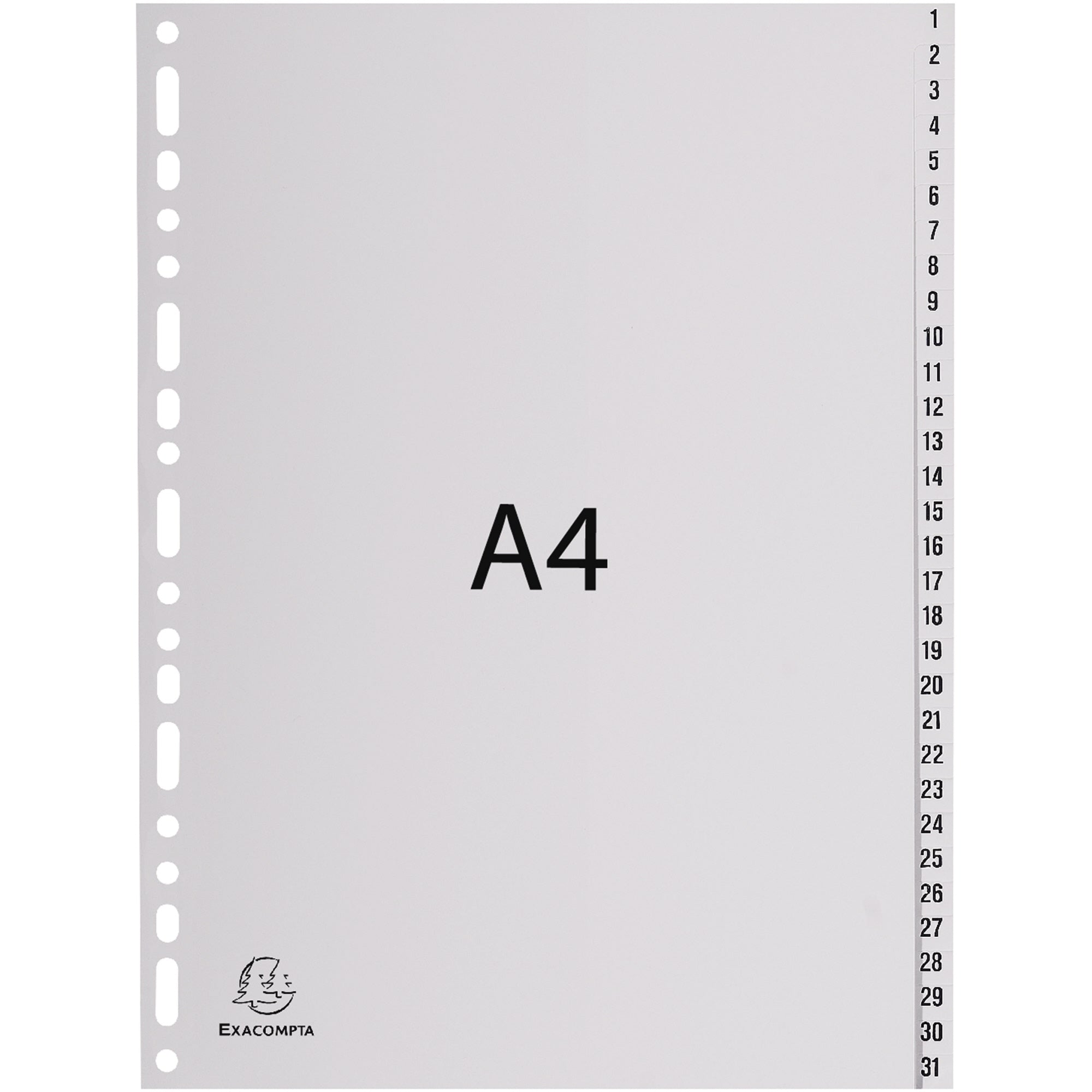 Exacompta Monatsregister Forever®, DIN A4