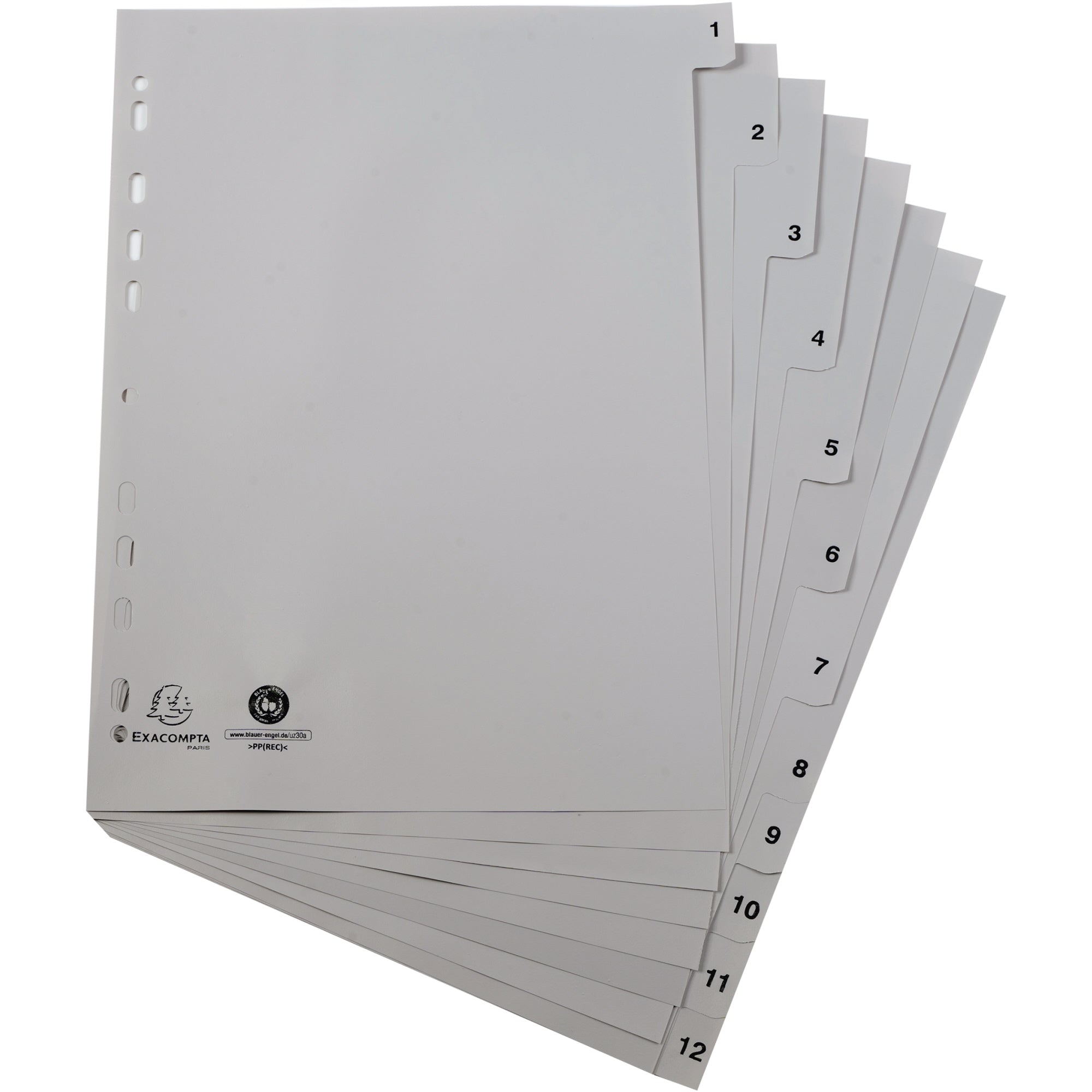 Exacompta Monatsregister Forever®, DIN A4