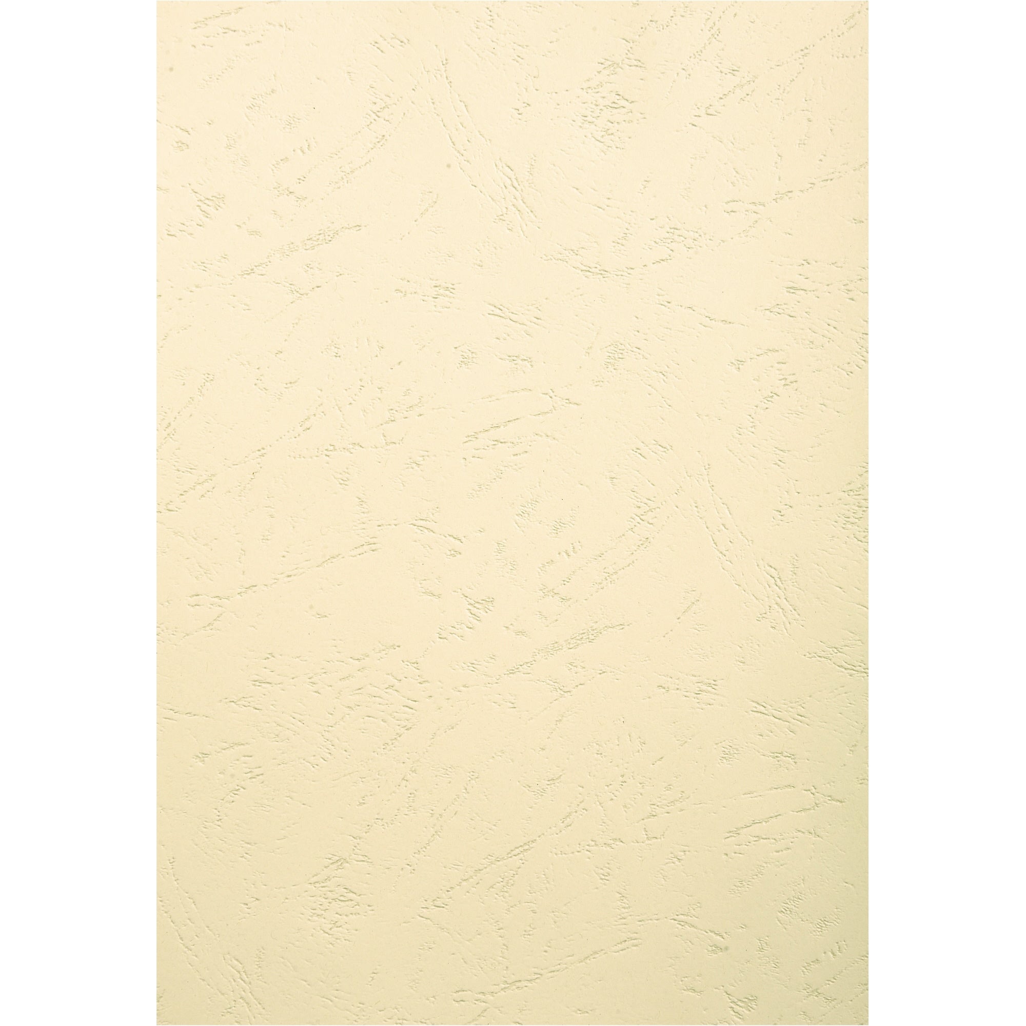 Exacompta Einbanddeckel EVERCOVER, DIN A4