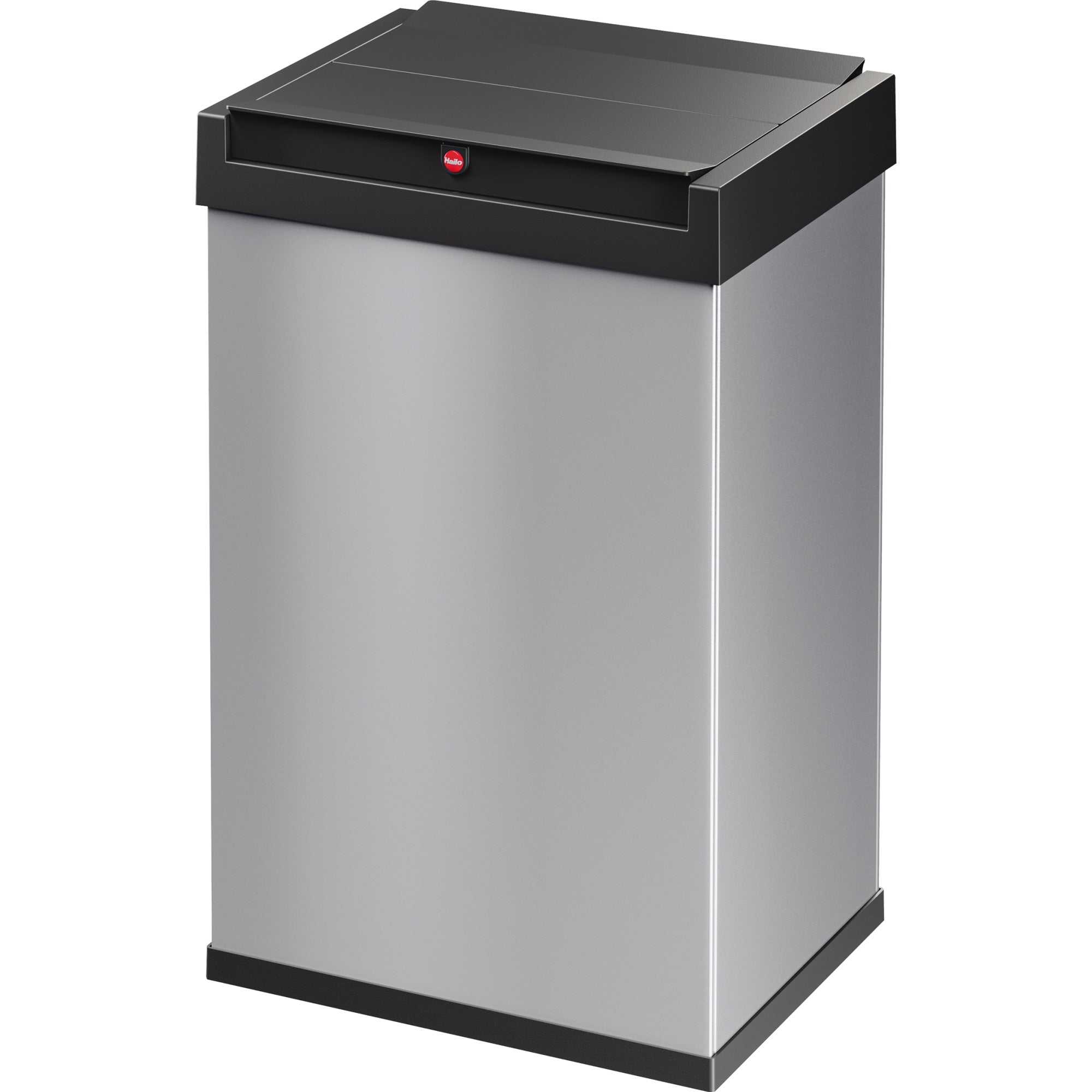 Hailo Abfalleimer Big-Box Swing L