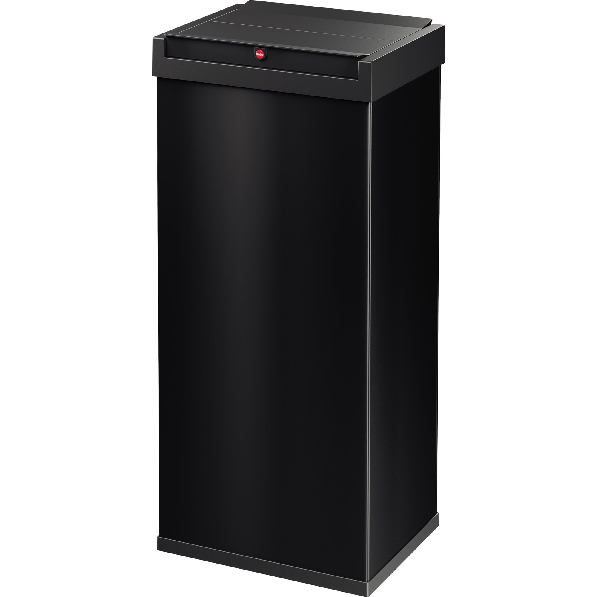 Hailo Abfalleimer Big-Box Swing XL