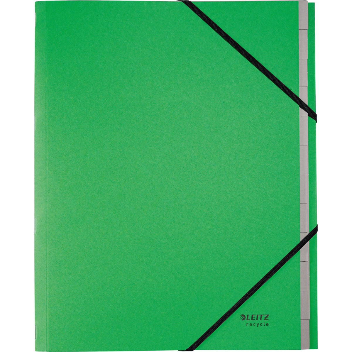Leitz Ordnungsmappe Recycle, DIN A4