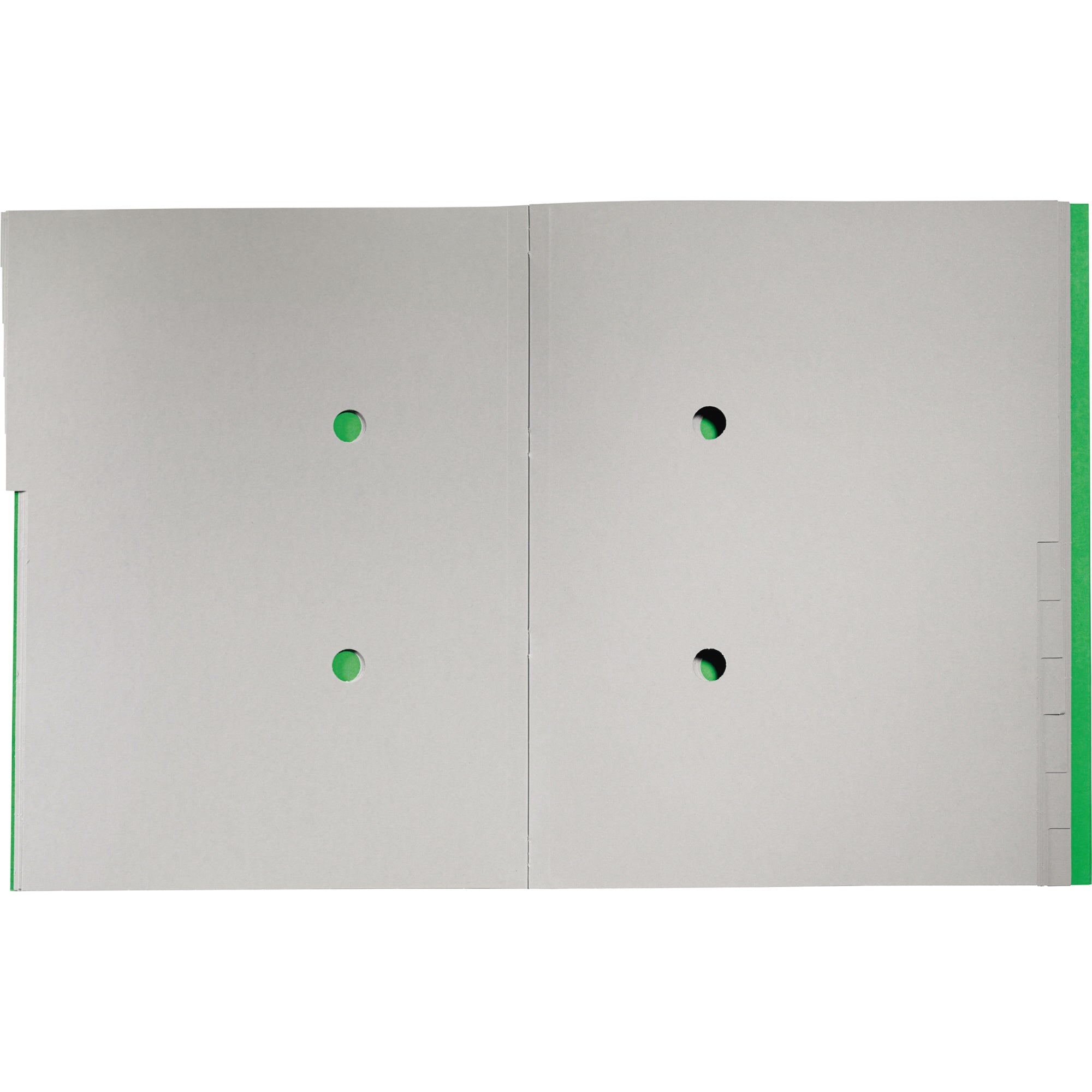 Leitz Ordnungsmappe Recycle, DIN A4