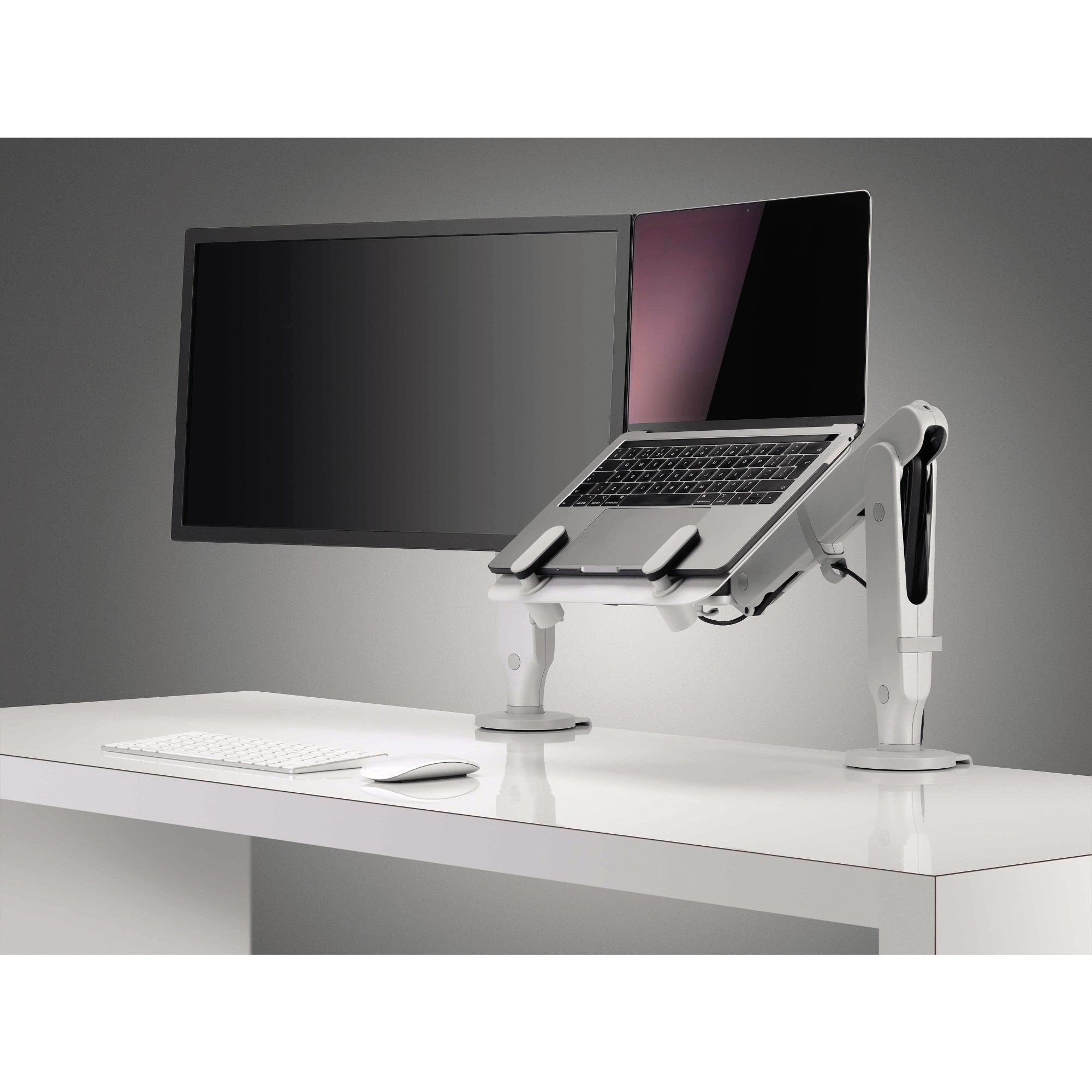 Ollin Notebookhalterung Schwenkarm