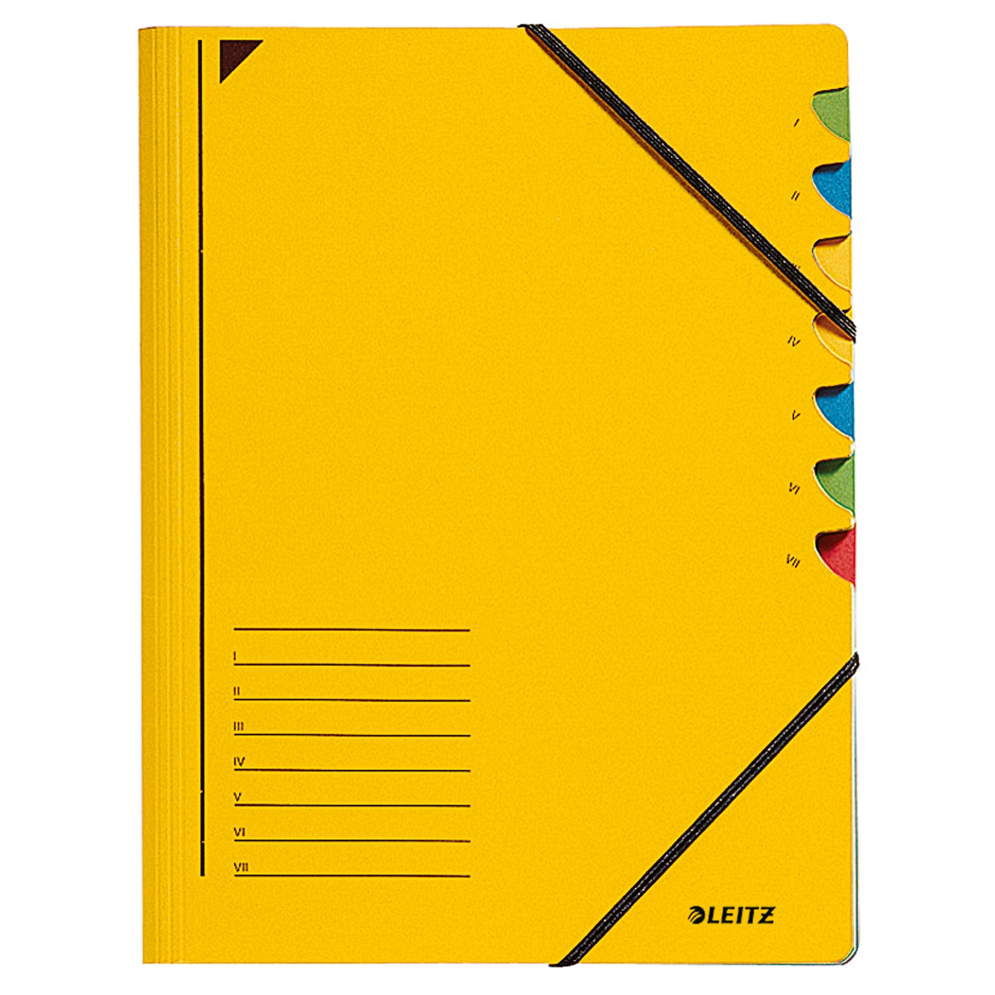Leitz Ordnungsmappe, DIN A4