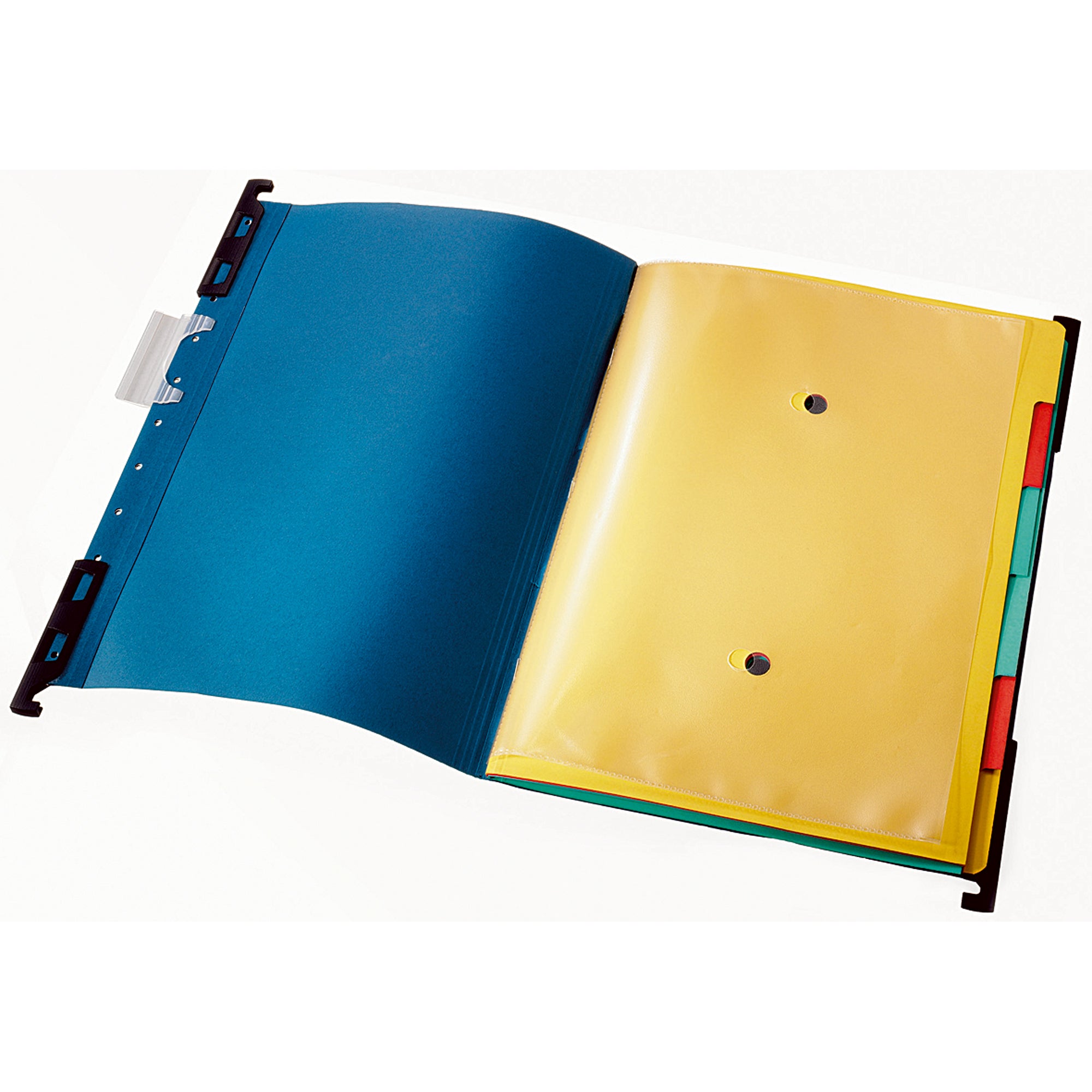 Leitz Hängemappe Alpha Divide it Up