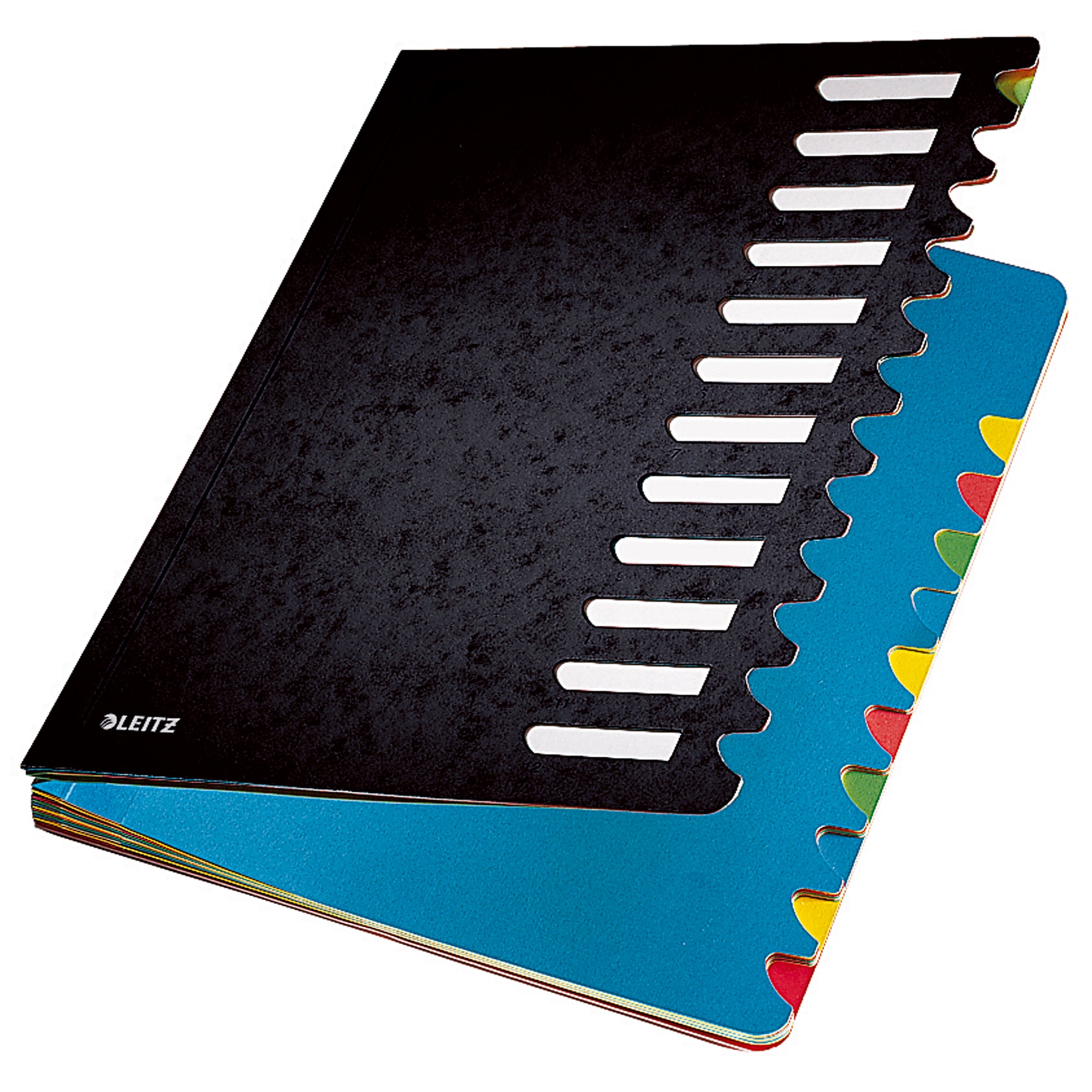 Leitz Ordnungsmappe Deskorganizer Color, DIN A4