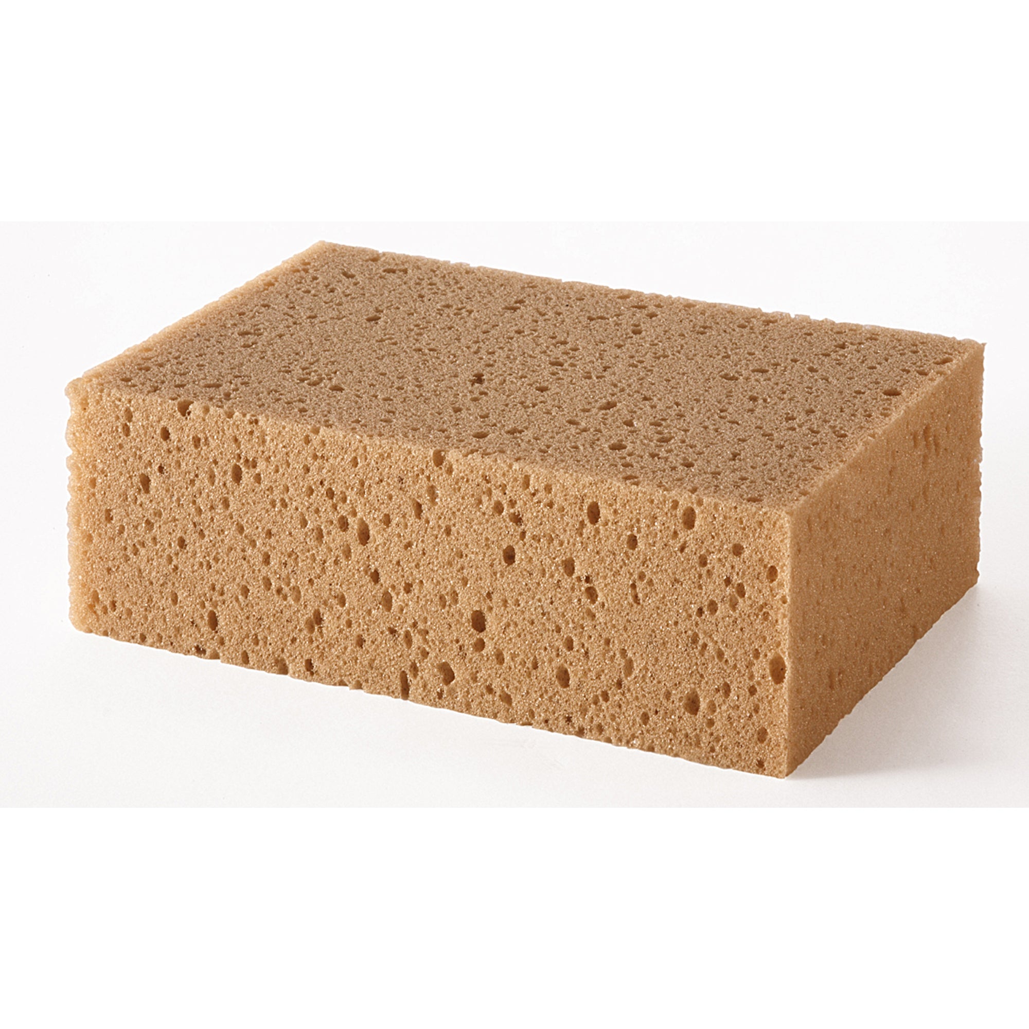 magnetoplan Tafelschwamm