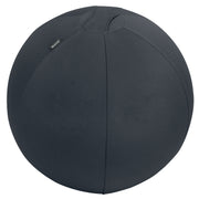 Leitz Sitzball Active 75cm gr