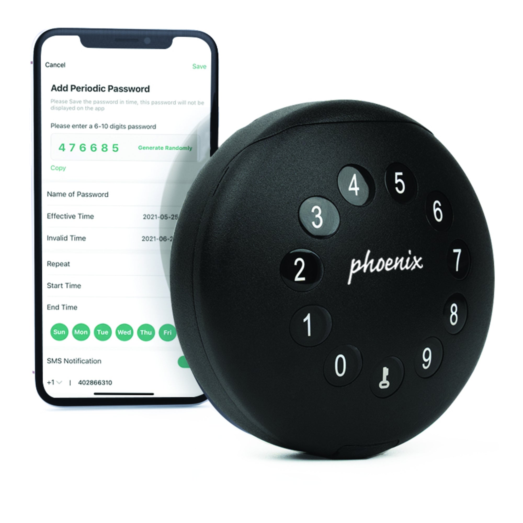 Phoenix Schlüsselbox Palm