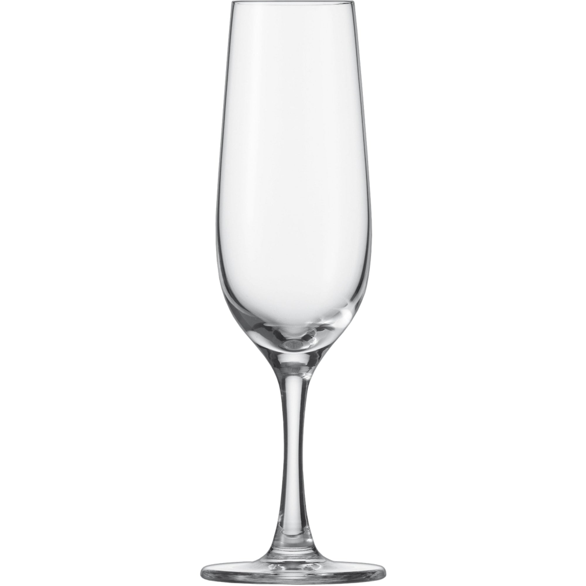Schott zwiesel Sektglas Congresso 235ml 6St