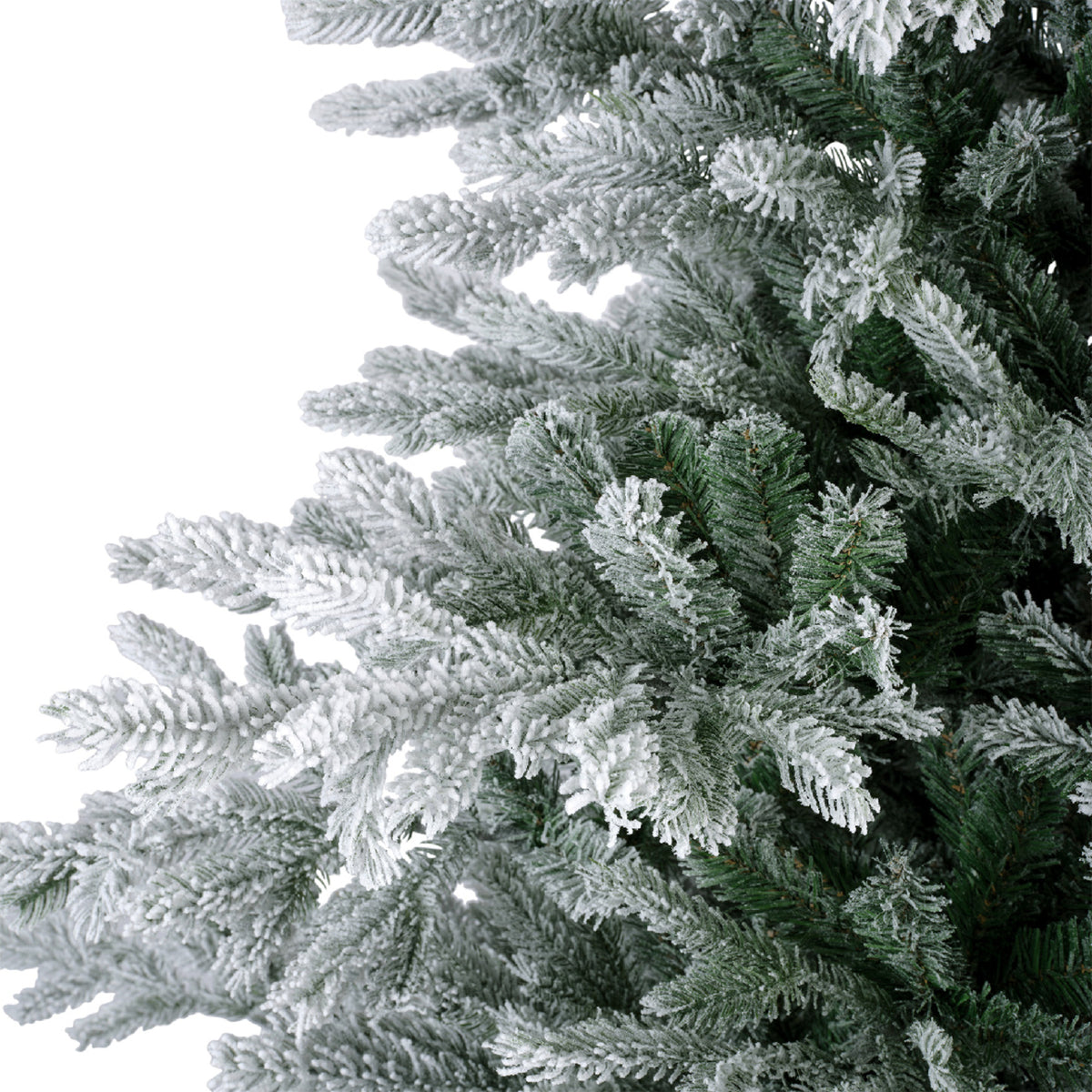 Everlands Weihnachtsbaum Grandis Fir