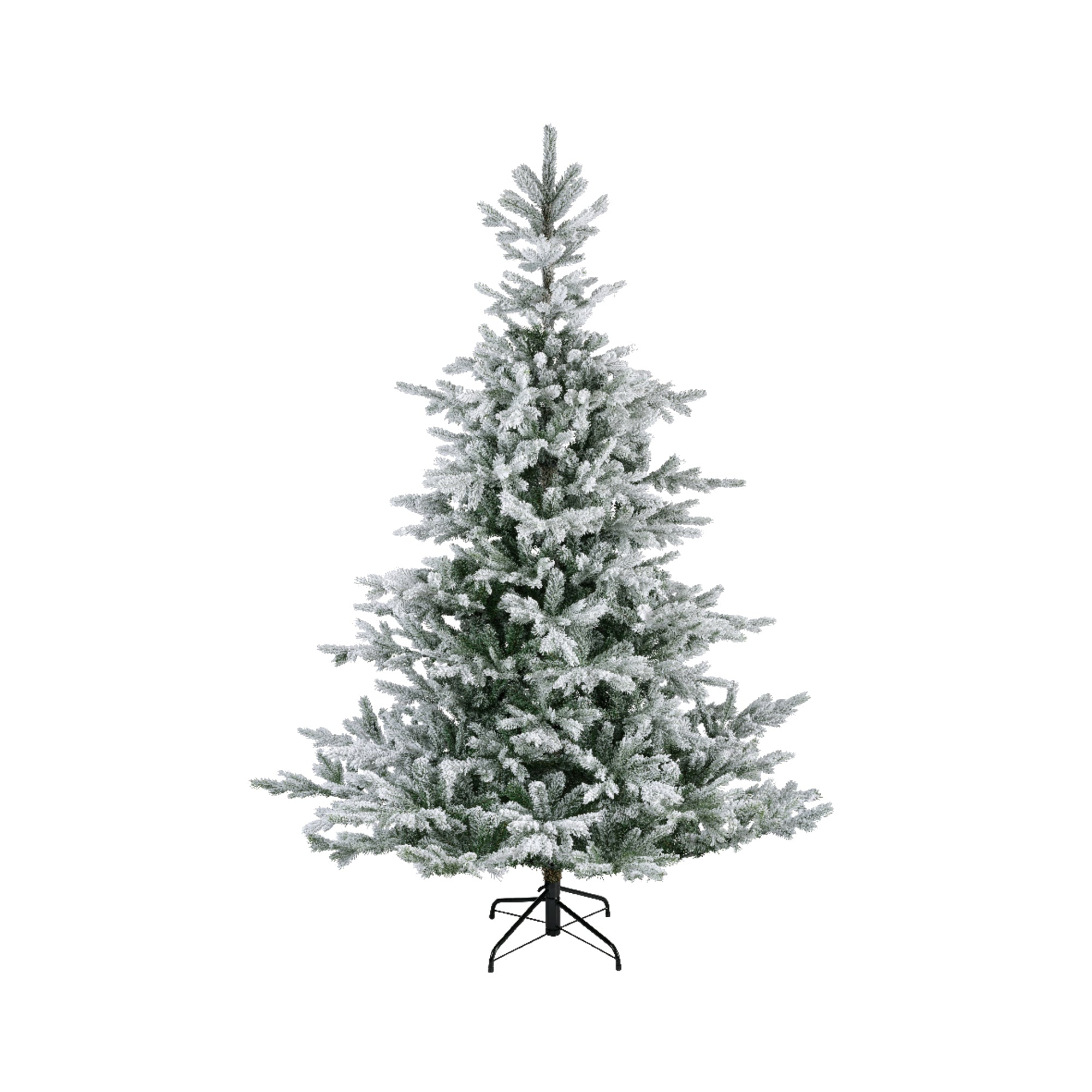 Everlands Weihnachtsbaum Grandis Fir