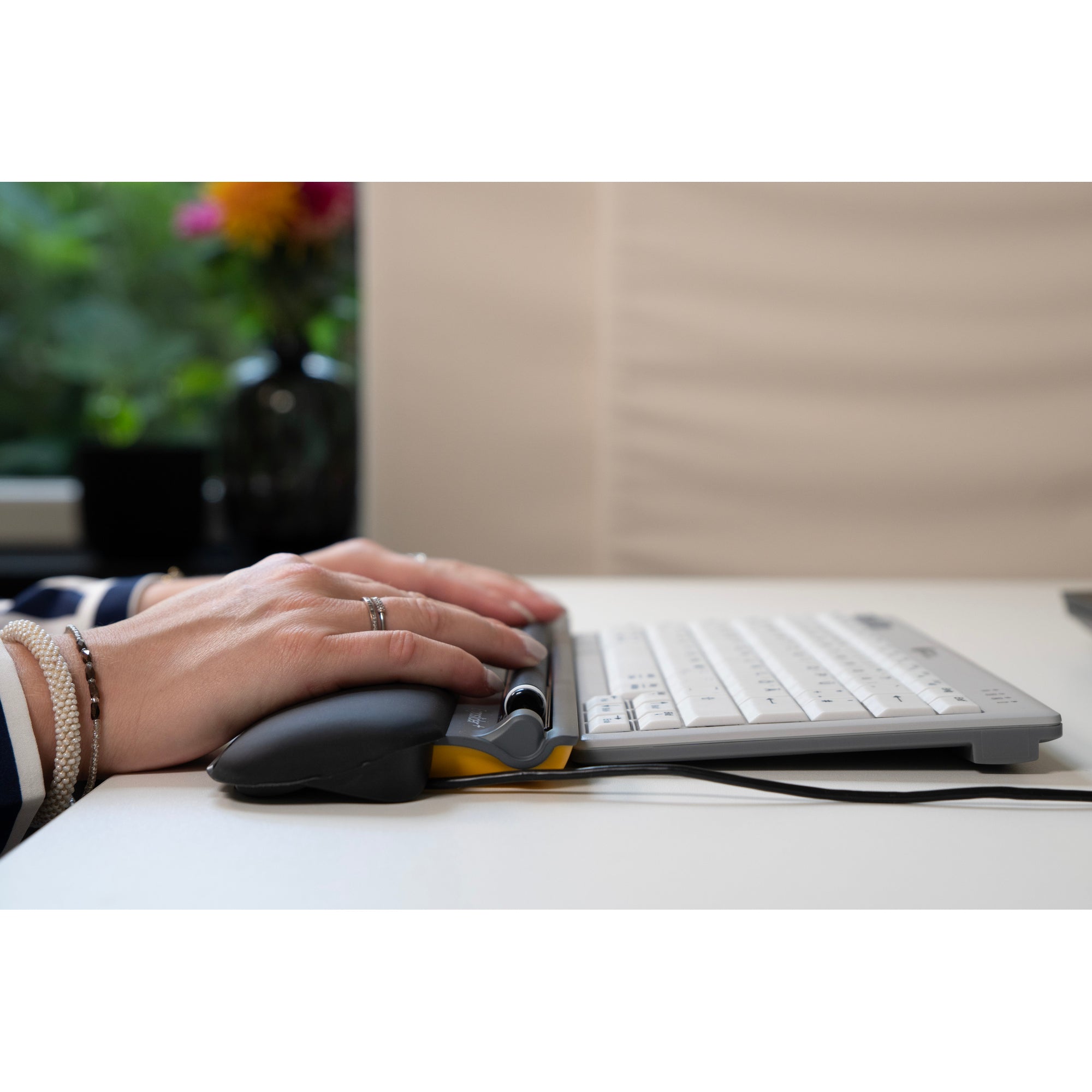 BakkerElkhuizen Optische PC Maus ErgoSlider Plus