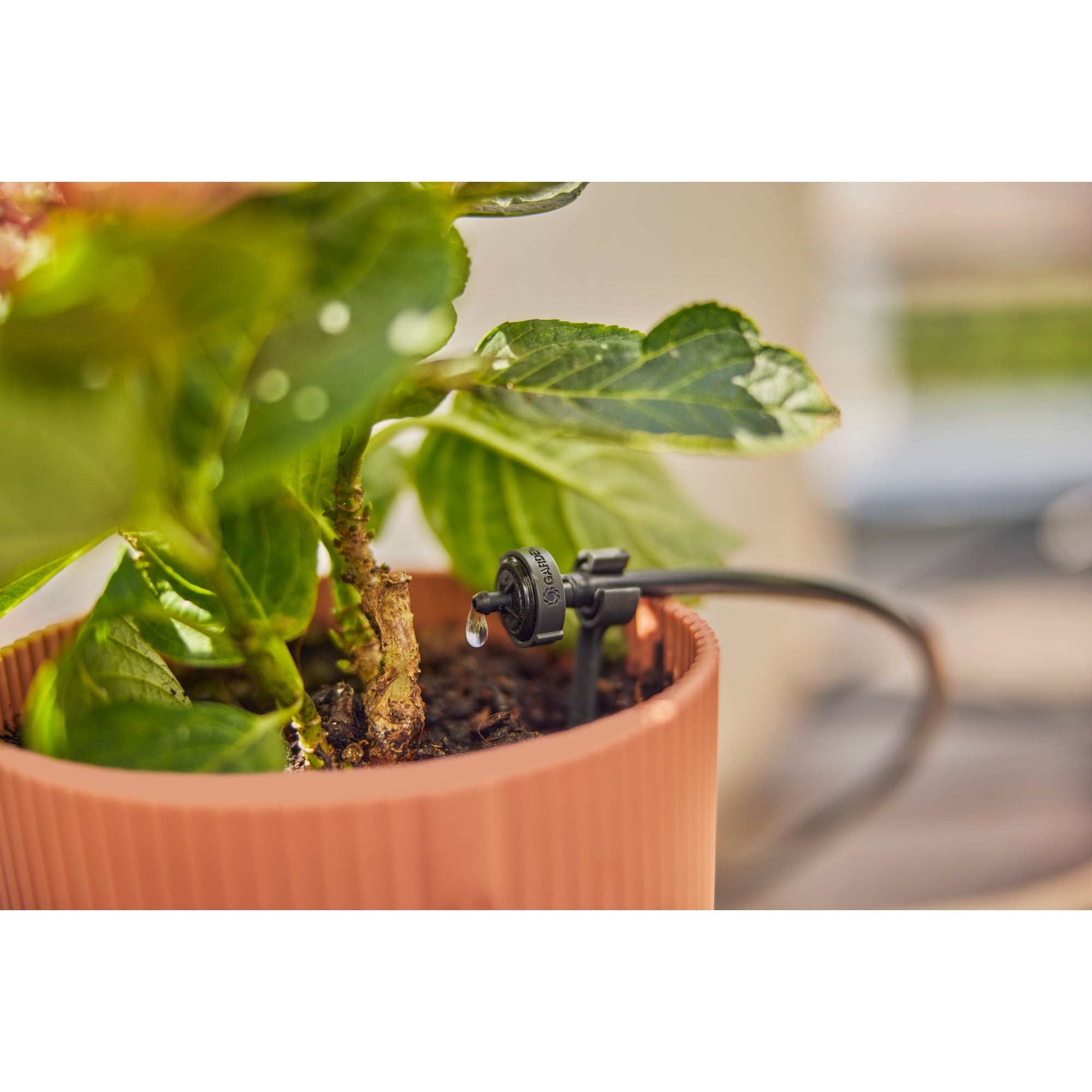 Gardena Bewässerungssystem Balkon